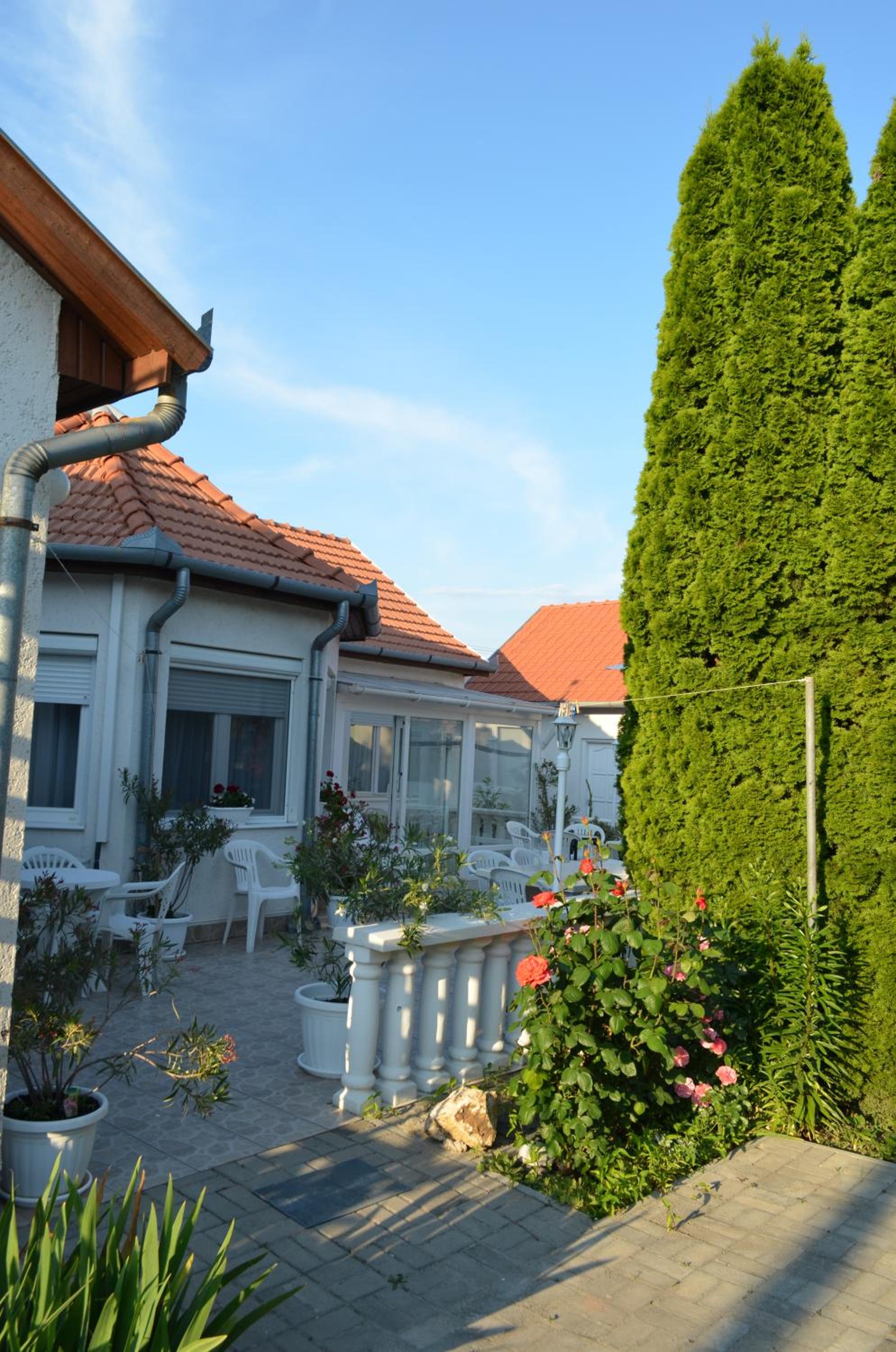 Photo 41