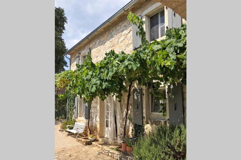 Ferienhaus Villa Alisia, wunderschönes Natursteinhaus bei Poreč, Istrien, Kroatien view 3