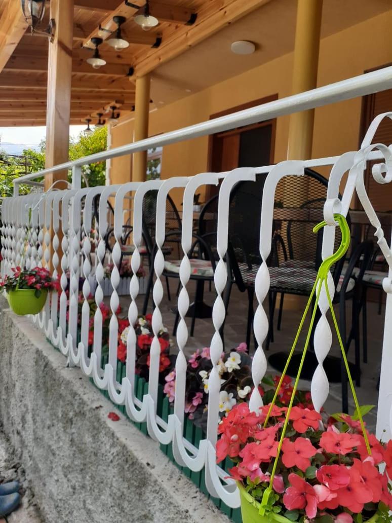 Joan Guesthouse
