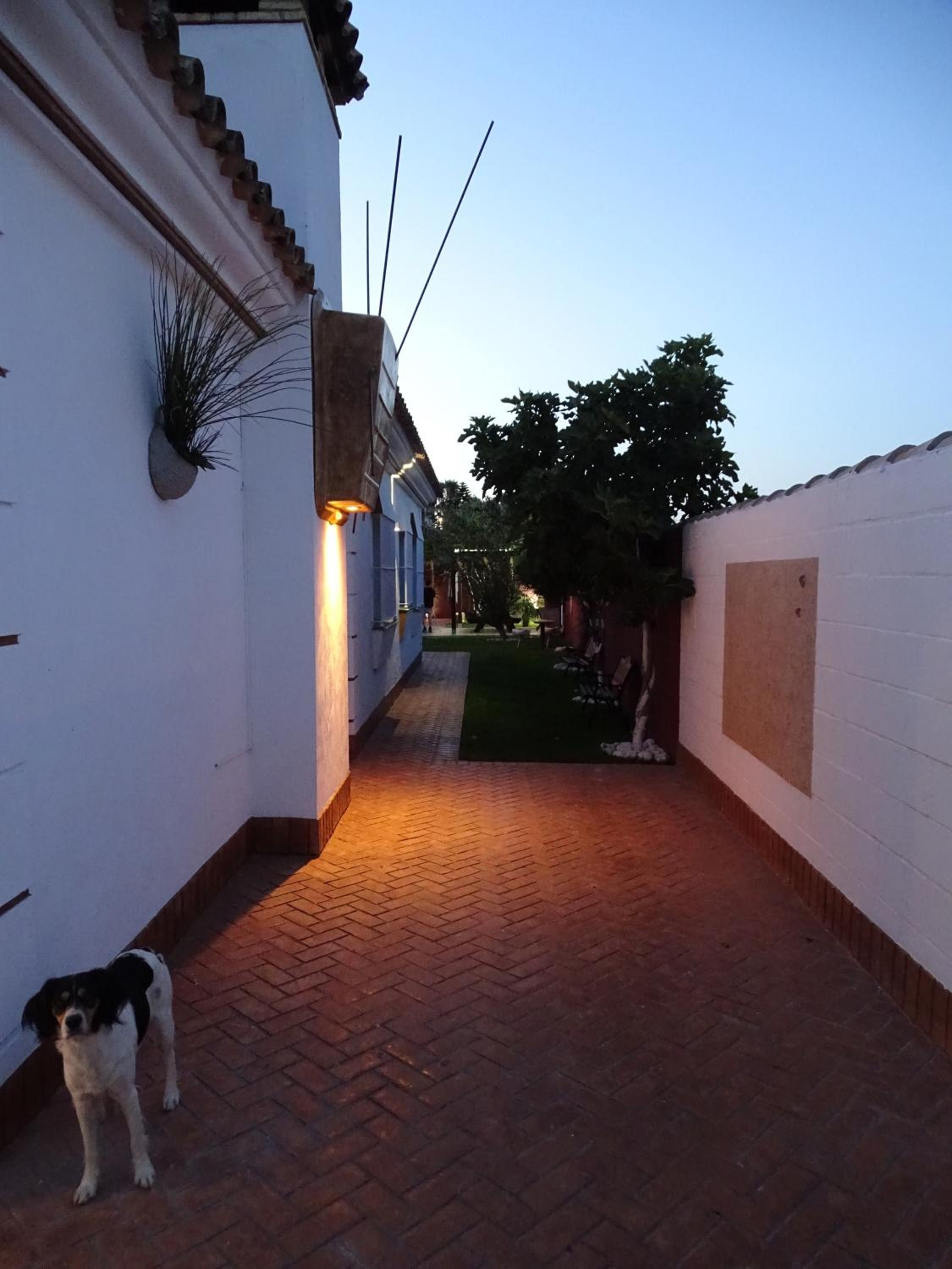 Photo 53