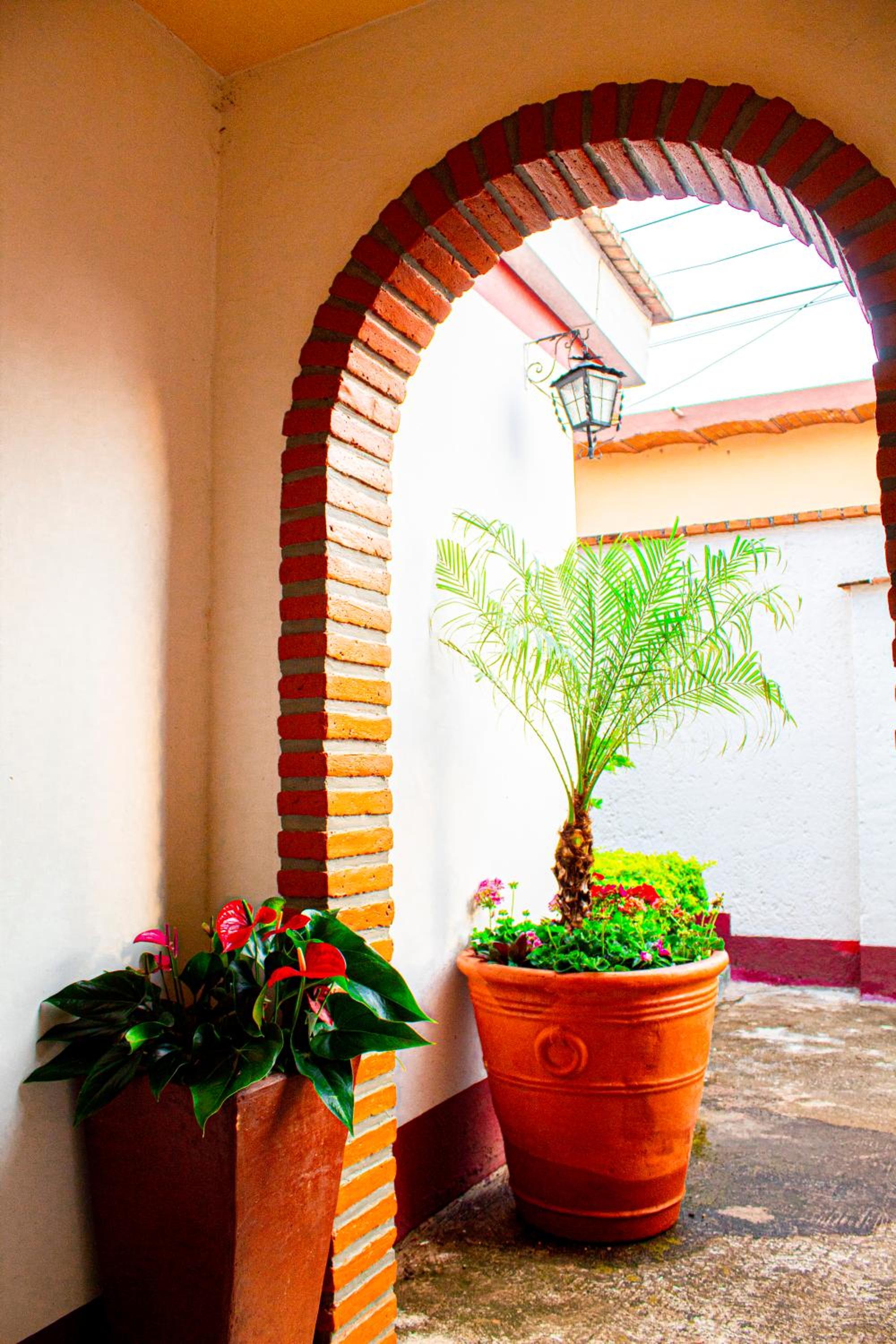 Photo 16