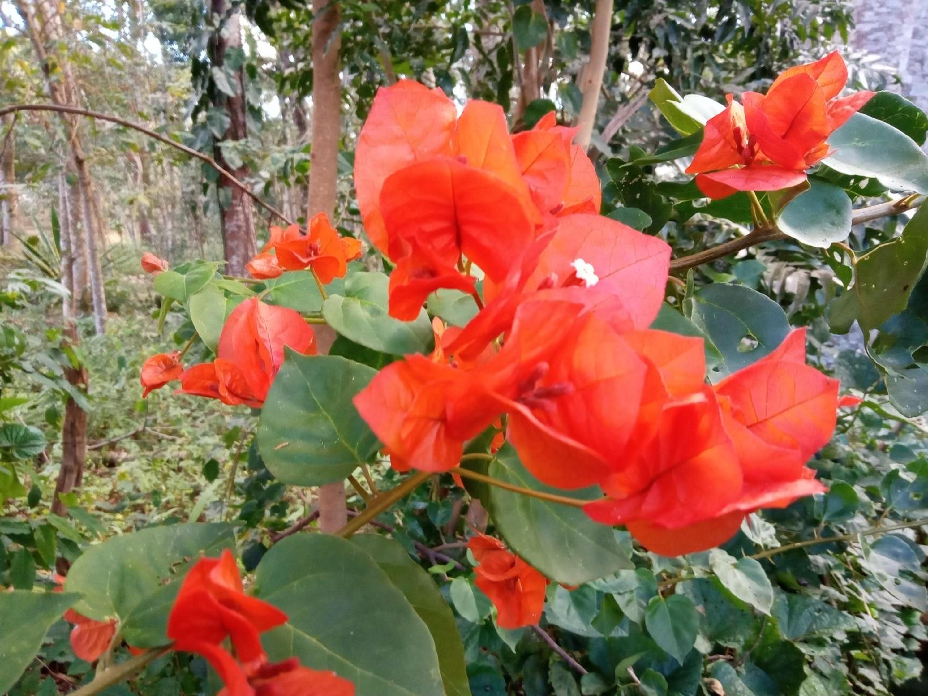 Rancho Pedra Preta