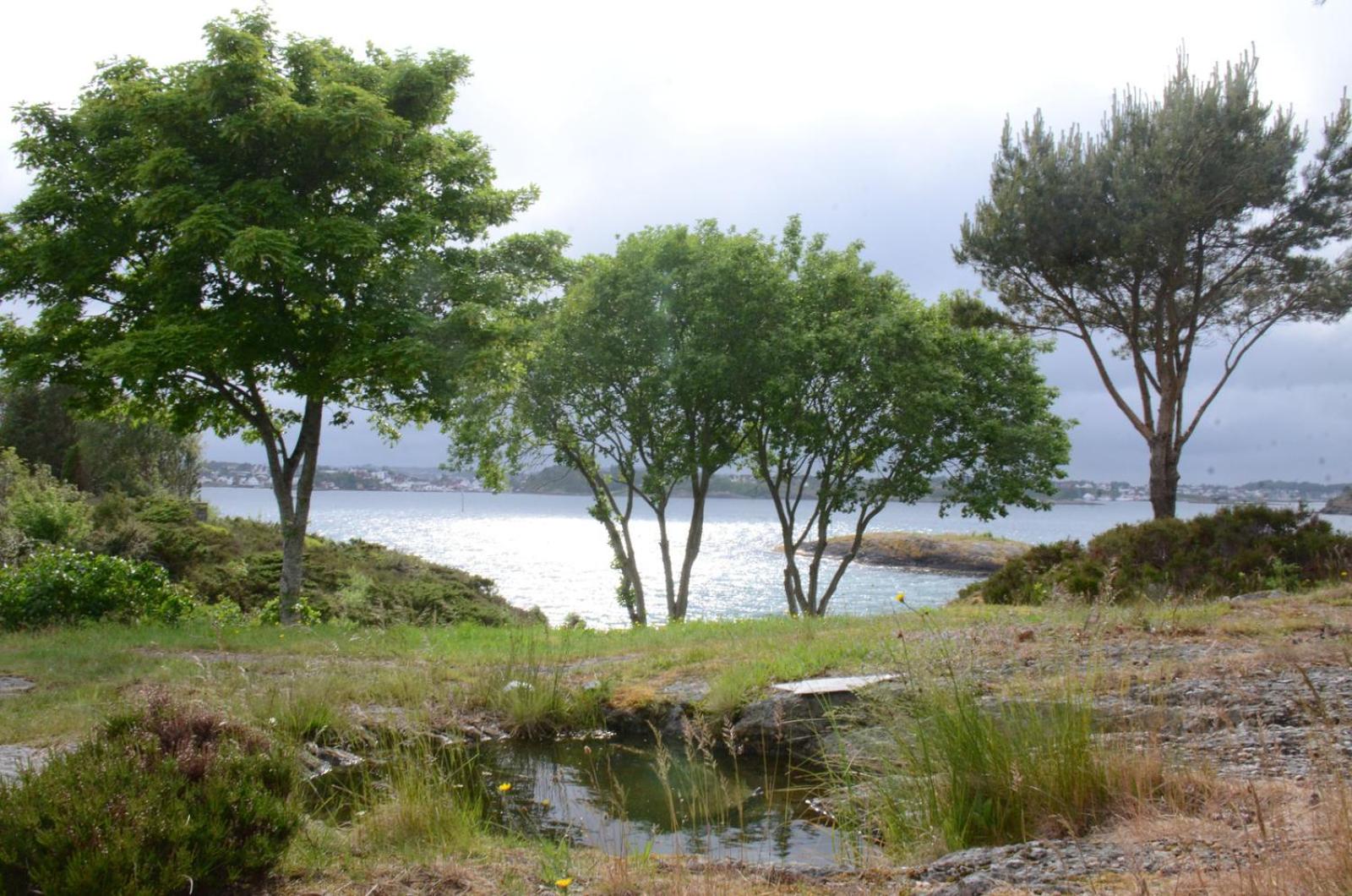 Villa Vassøy view 2