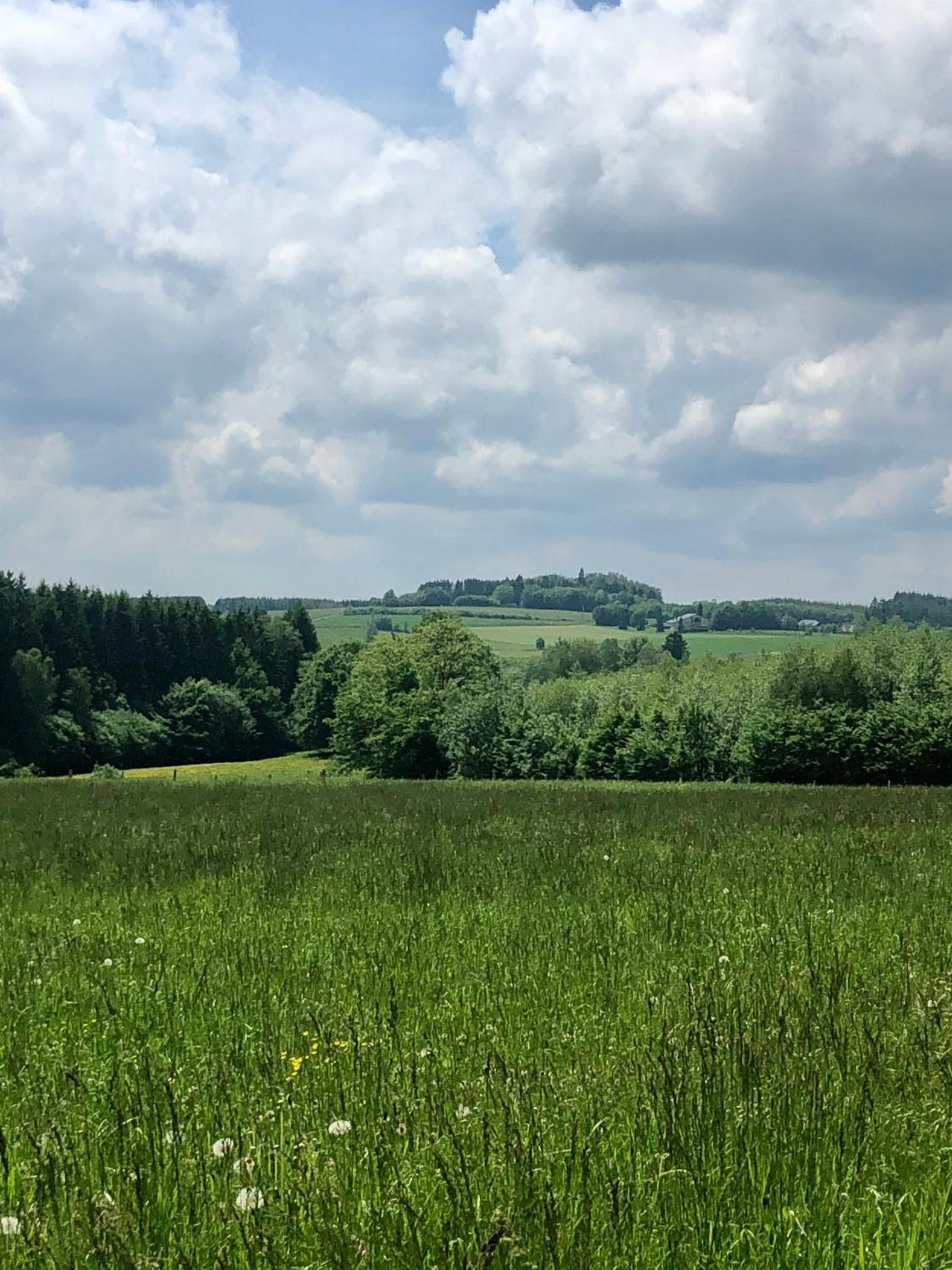 Les Caliciades 1 à Gros-Fays