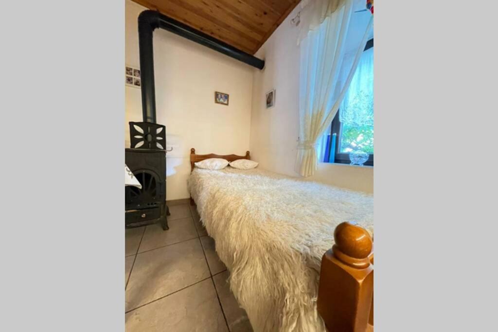BUJTINA CAKULI, Rehovë - ERSEKË