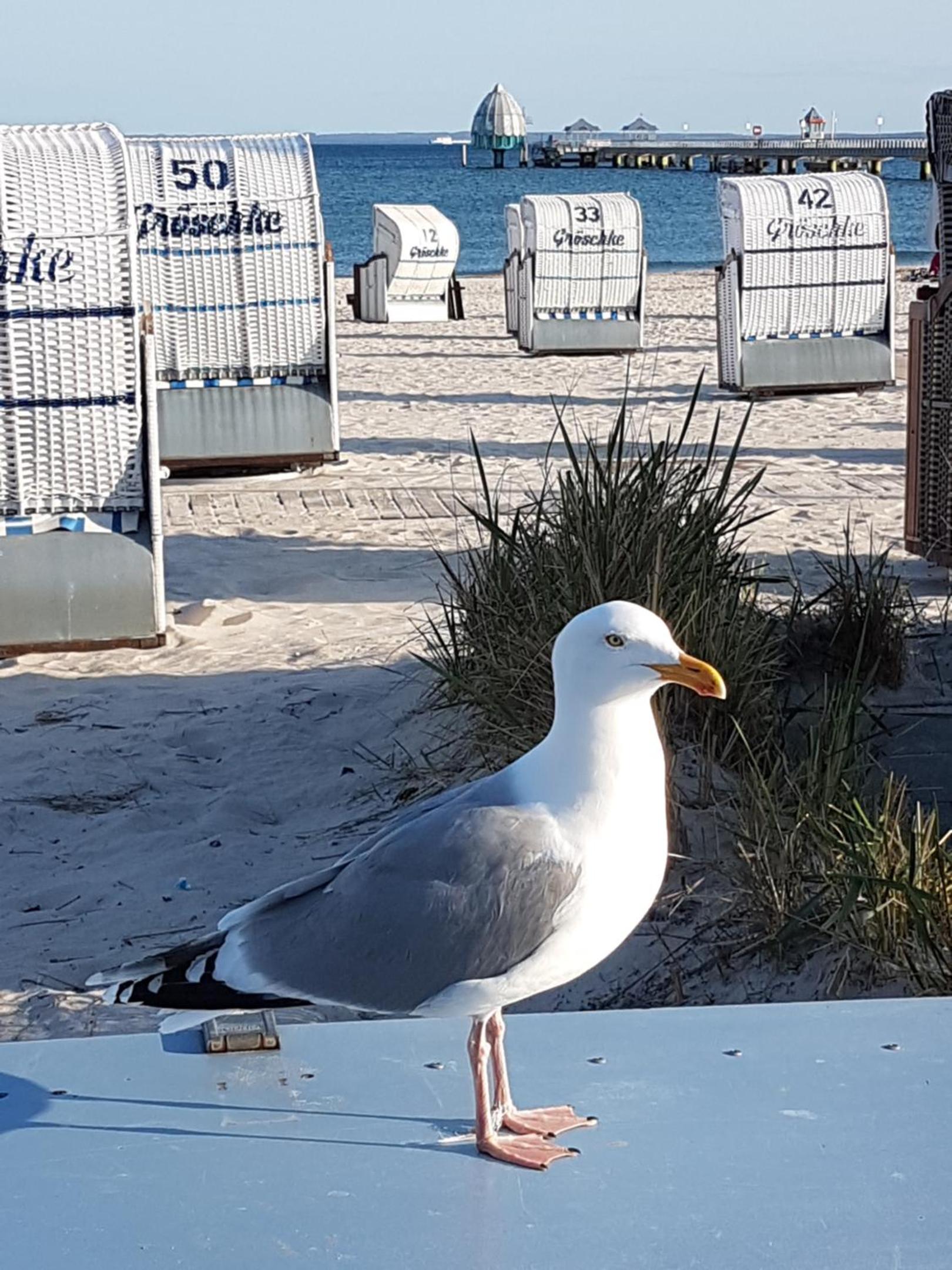Ferien auf zwei Ebenen in der Möwenkoje - Tierfreundlich view 2