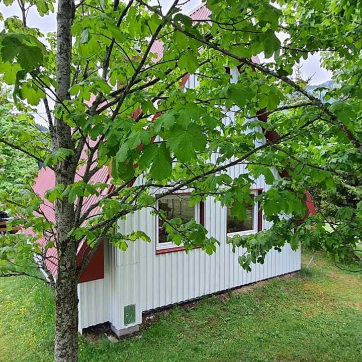 Photo 32