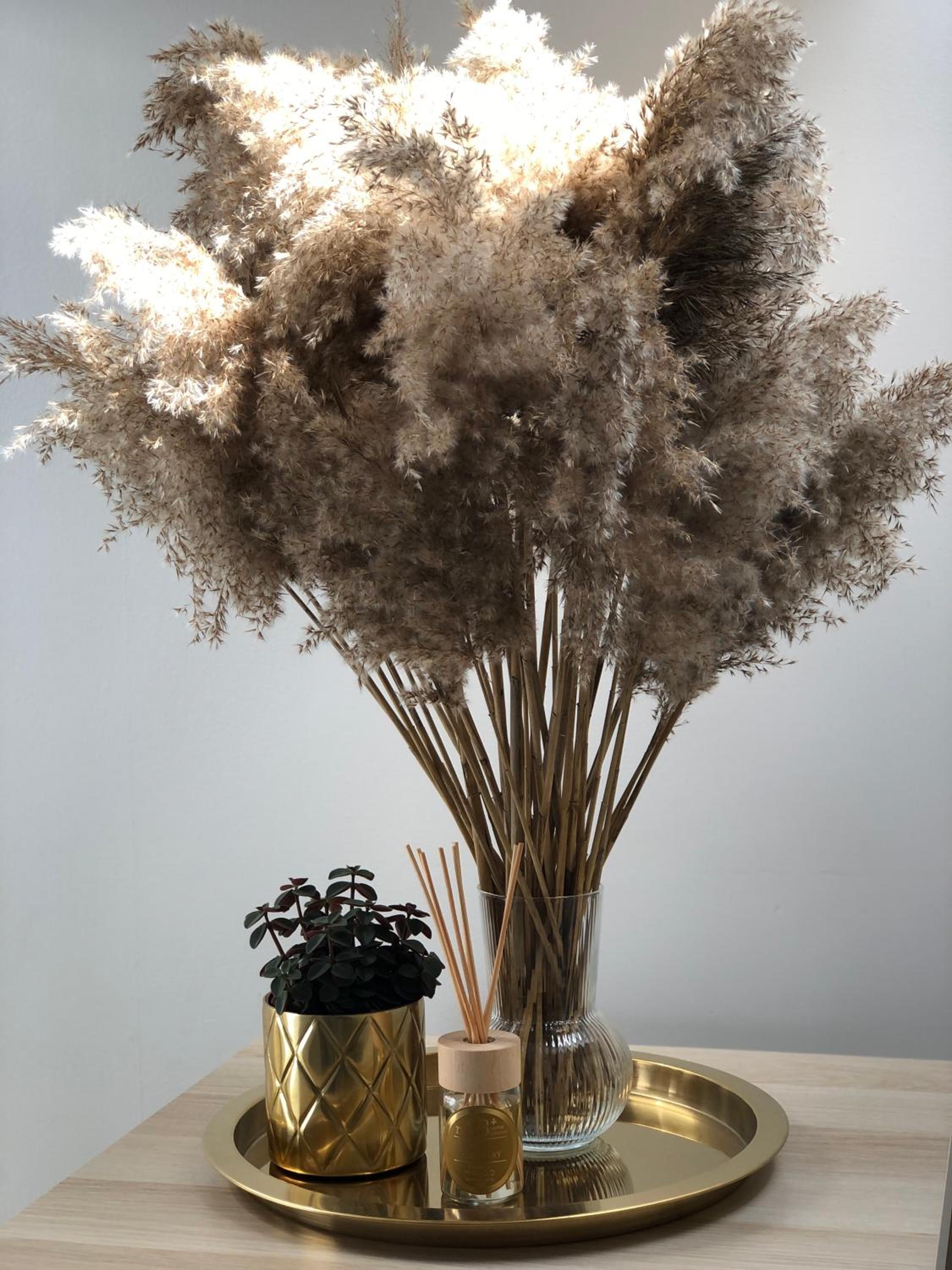 Dream Catcher Retreat view 5
