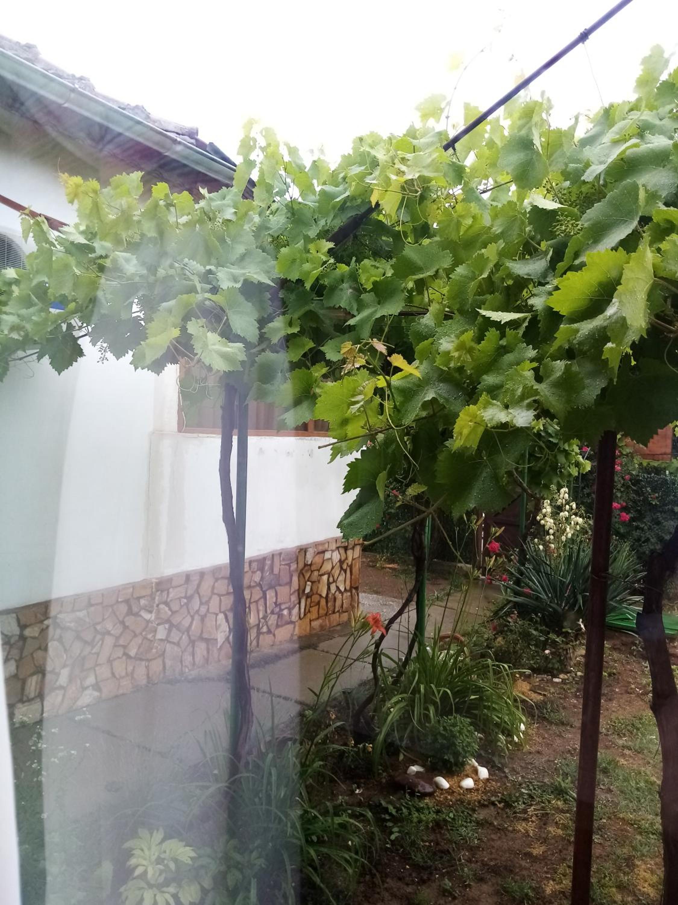 Chergata Guest House