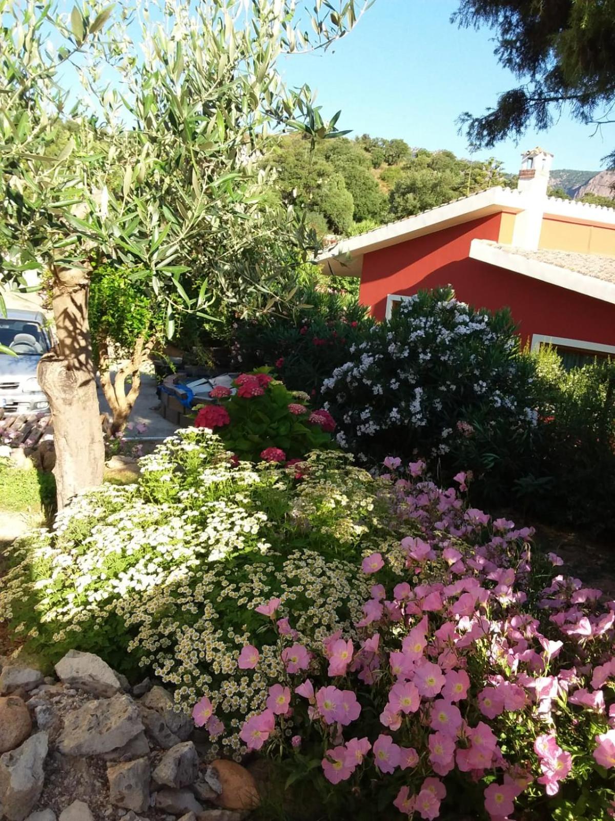 Photo 46