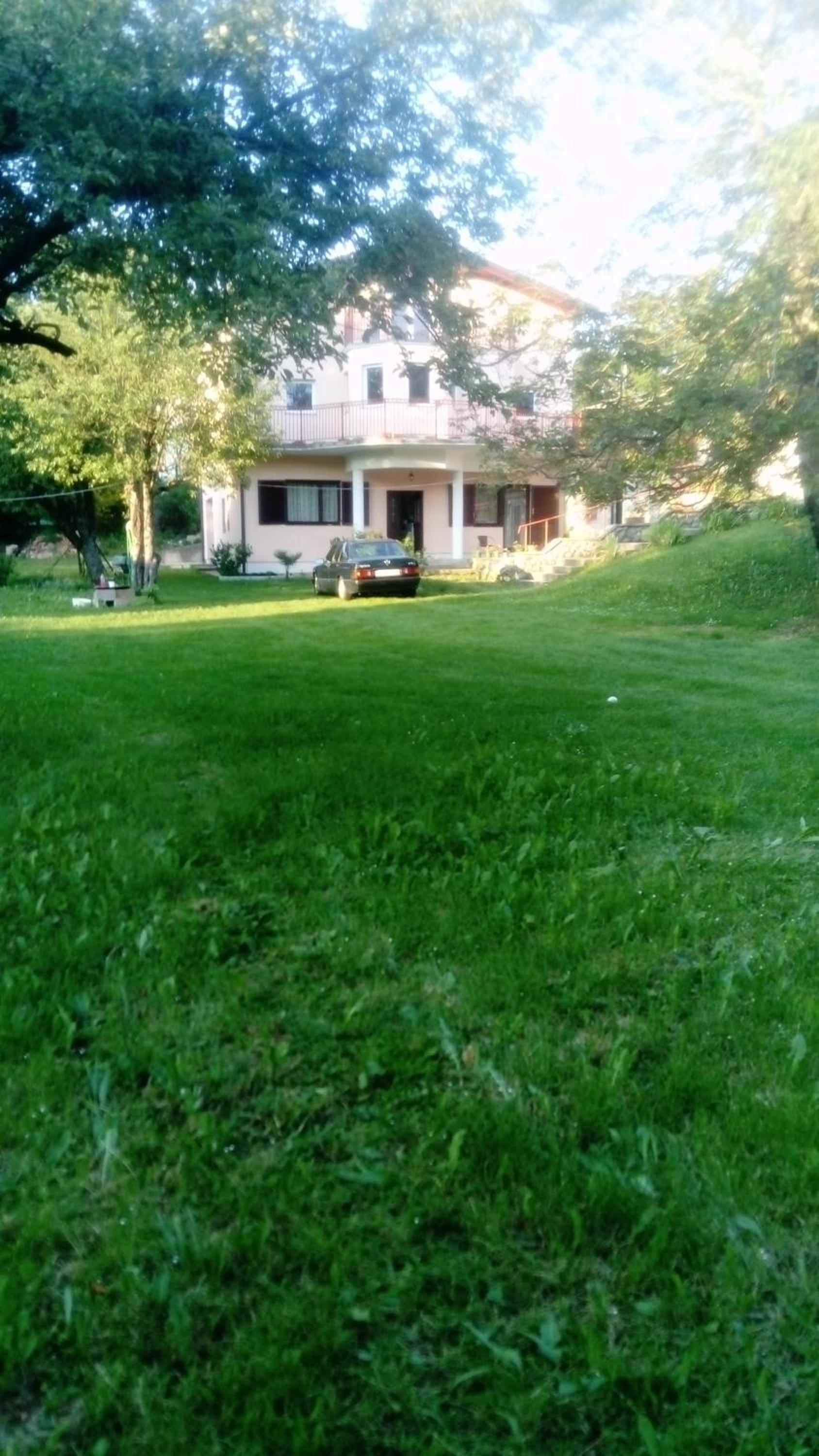 Photo 42