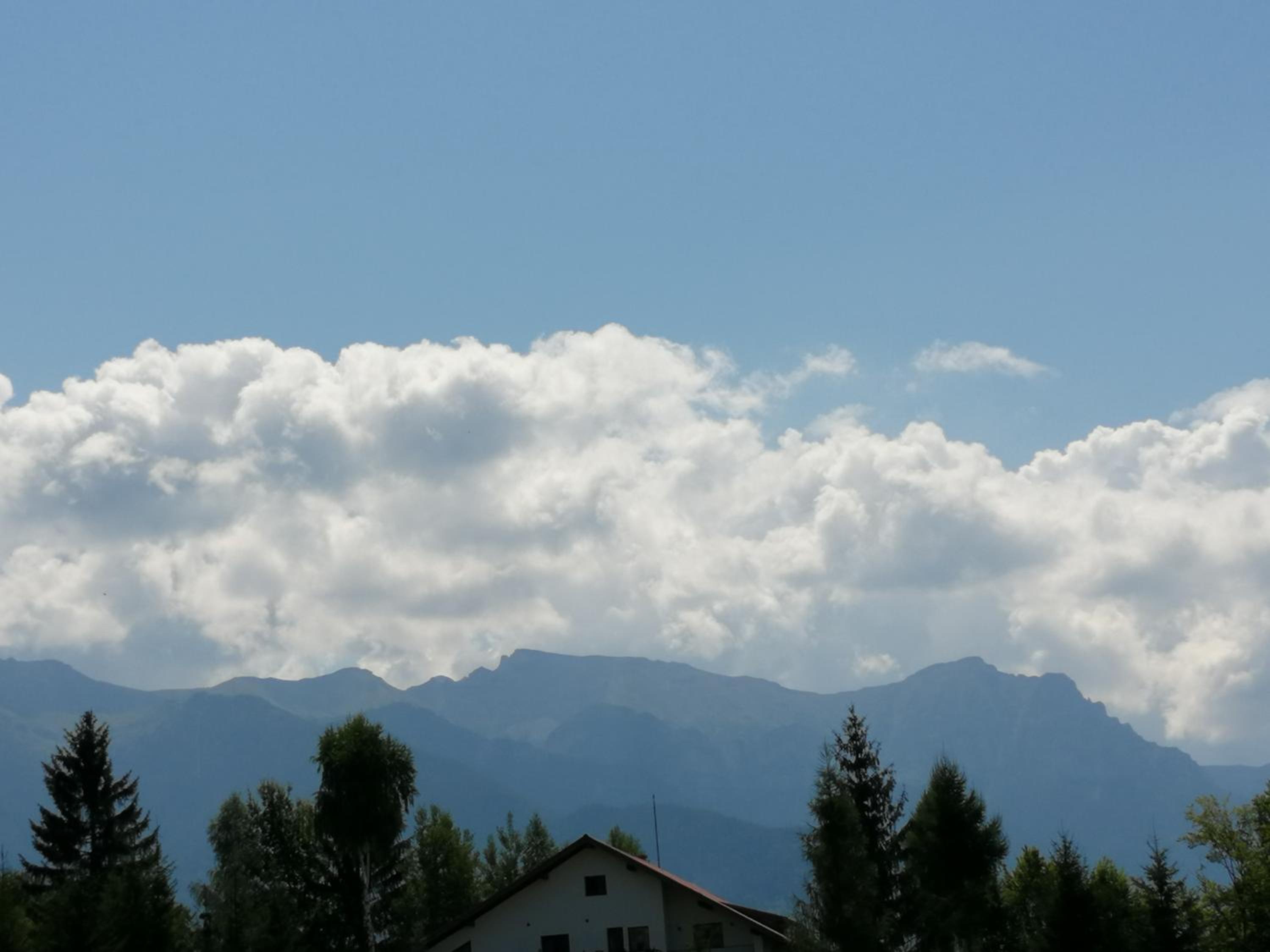 Photo 36
