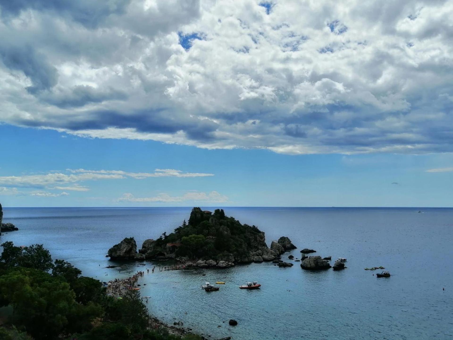 Casette Tulipano