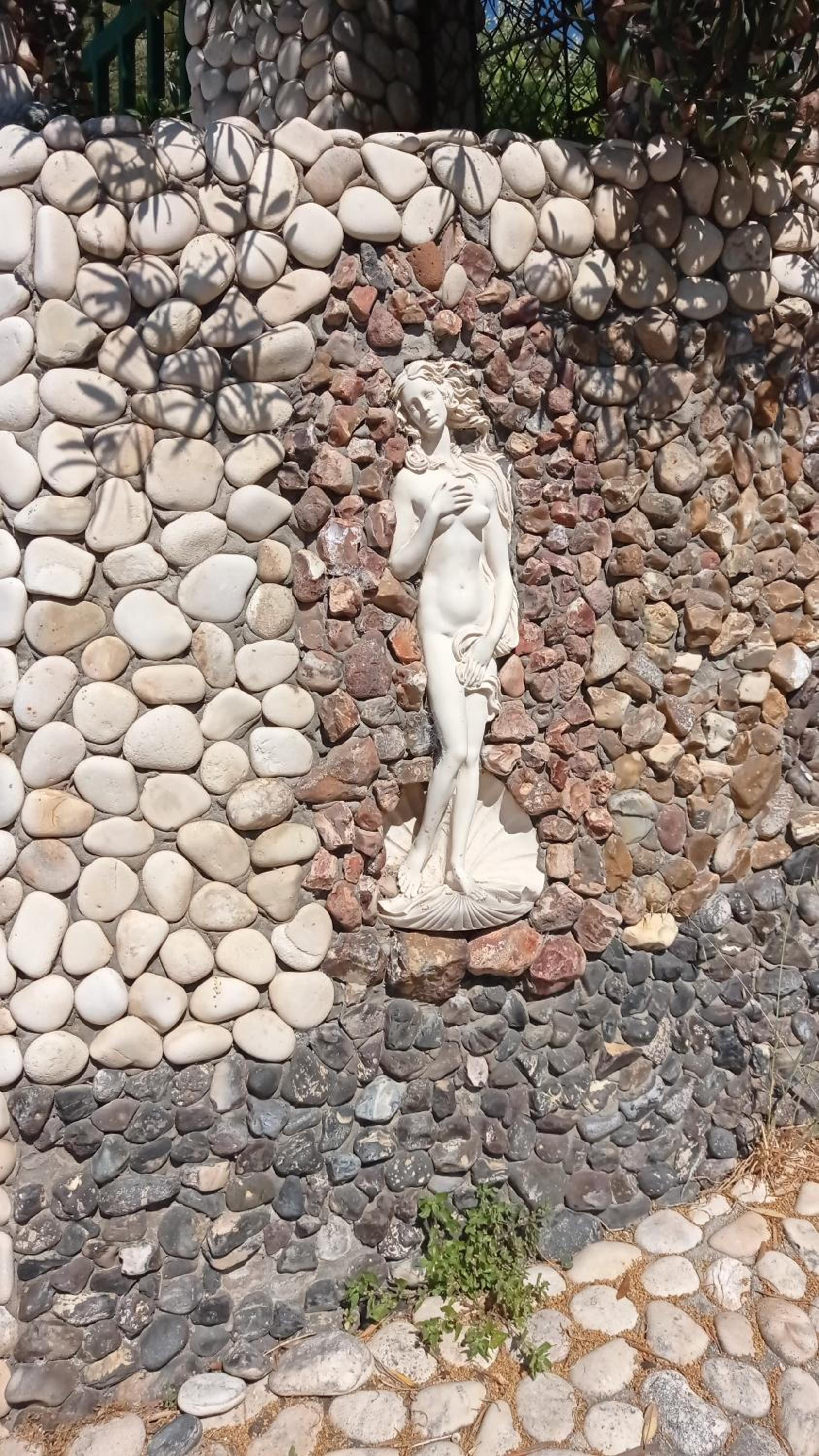 Photo 19