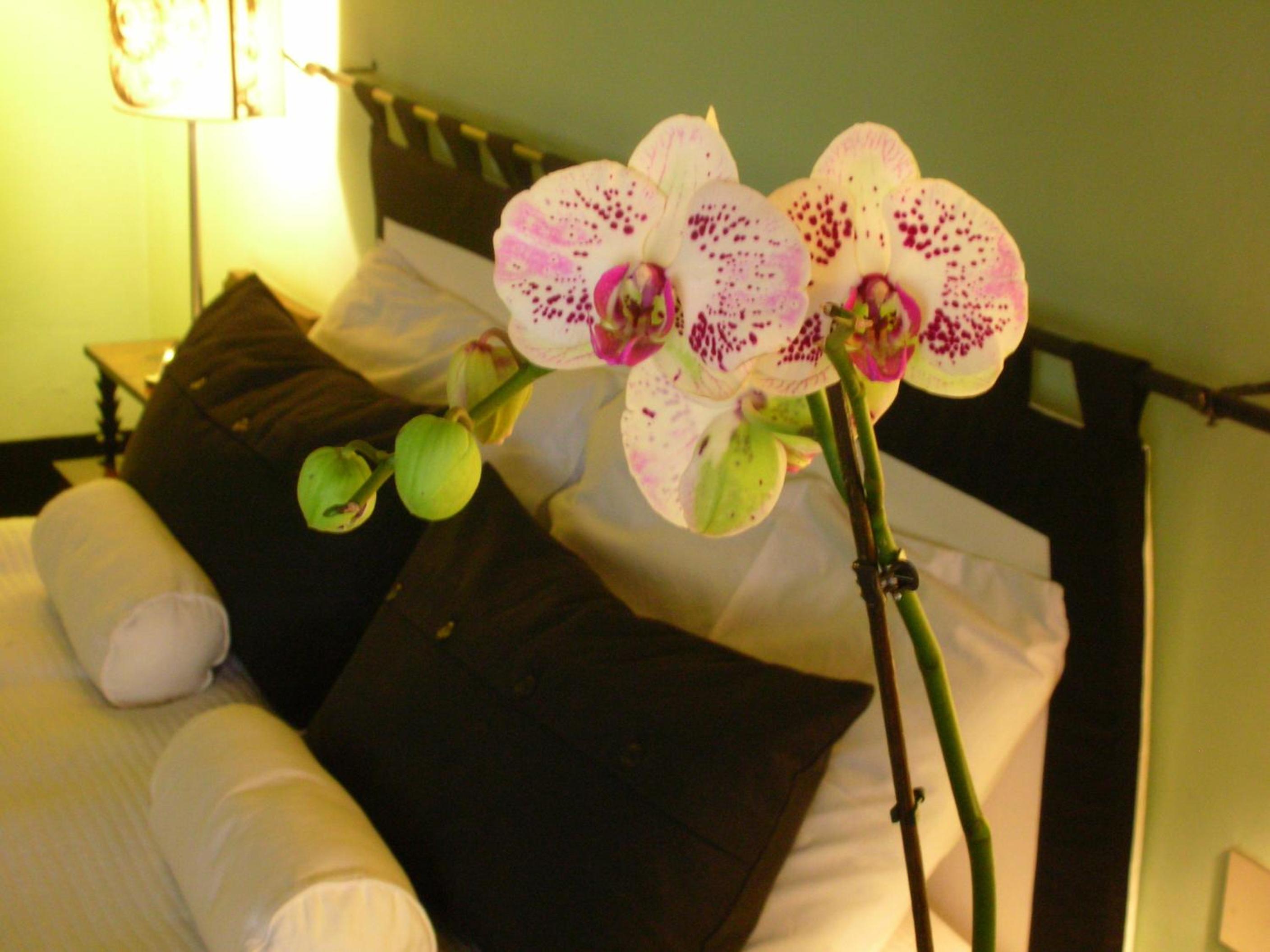 Alberghino B&B
