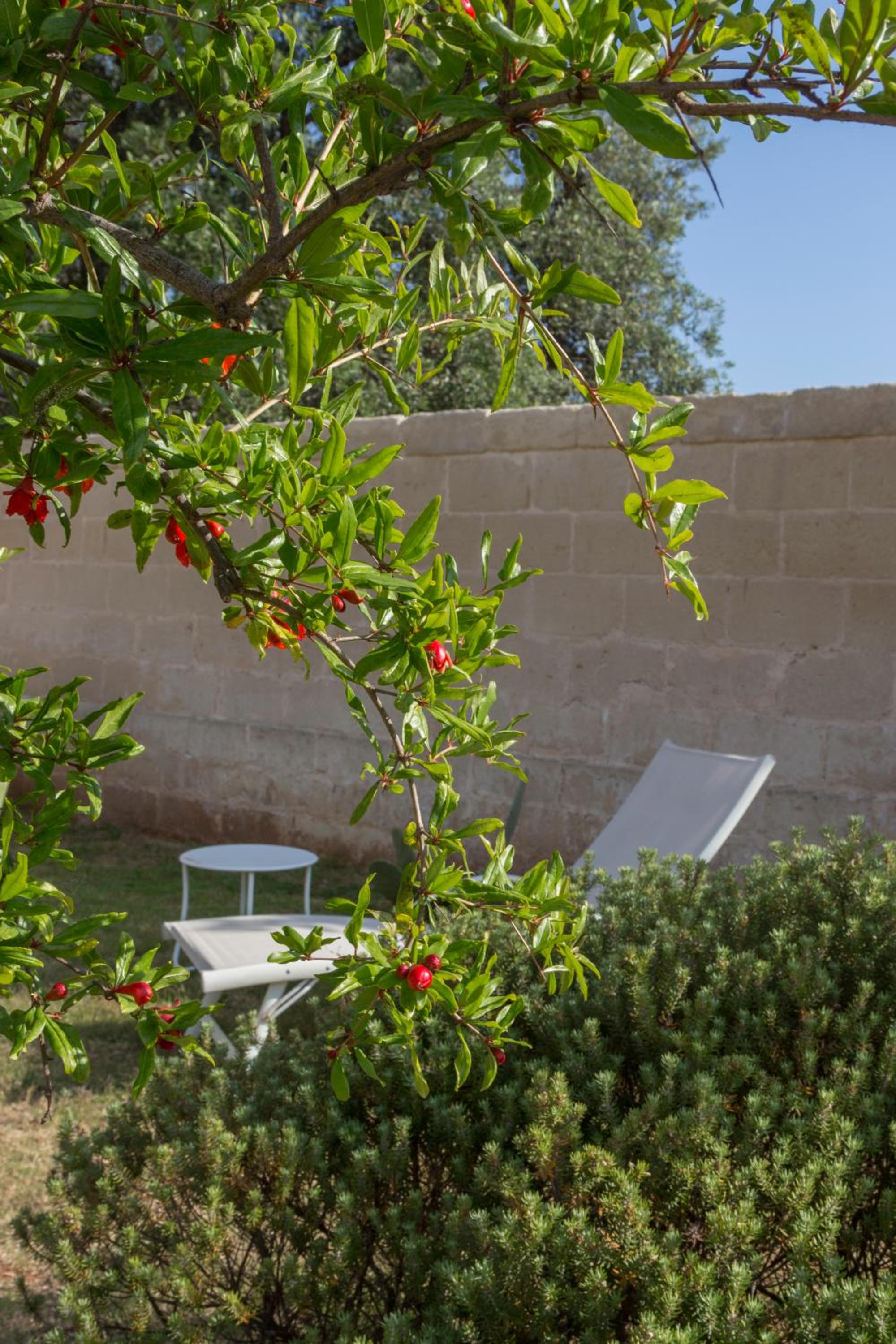Masseria Torre Del Diamante