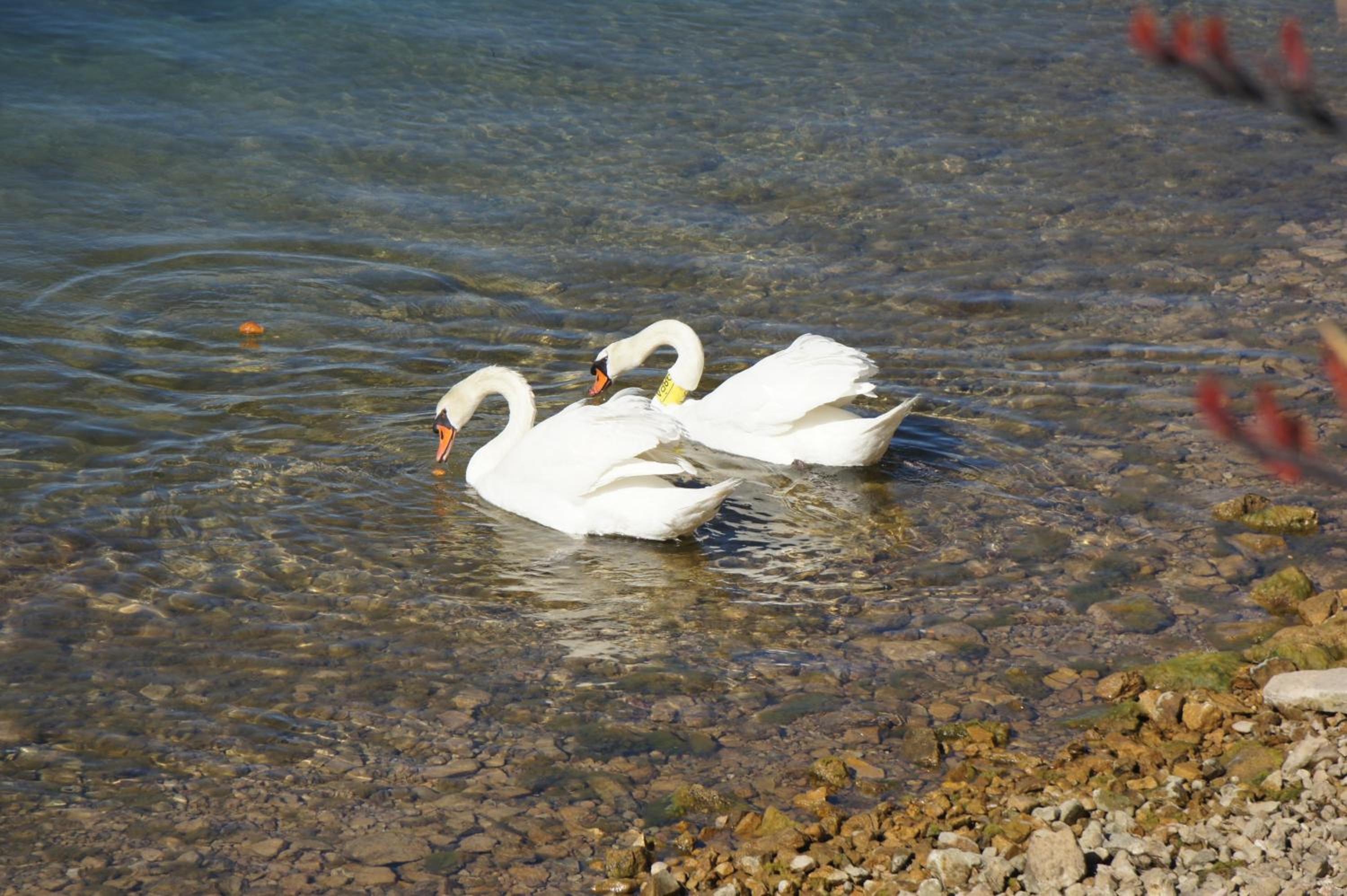 Photo 47