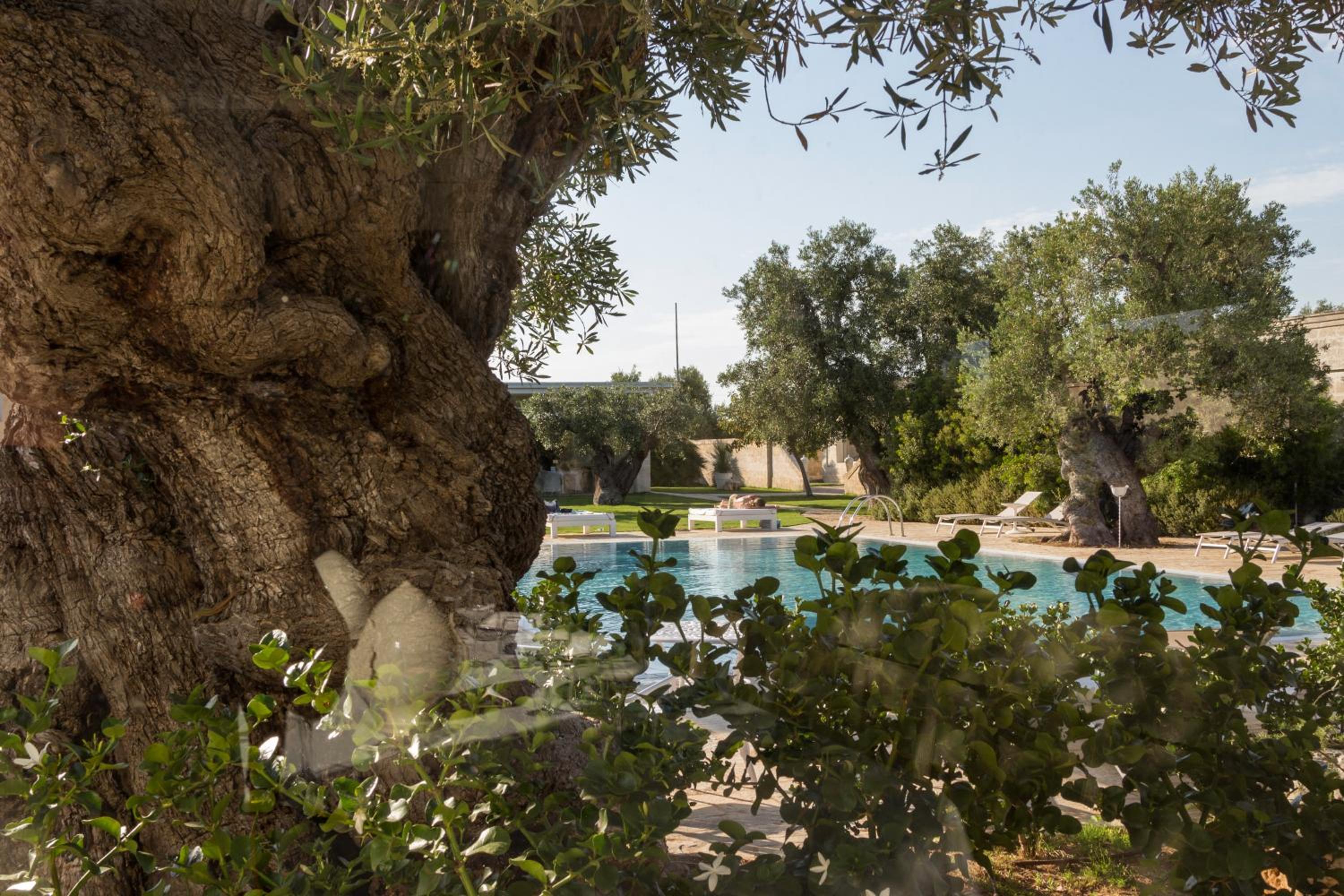 Masseria Torre Del Diamante