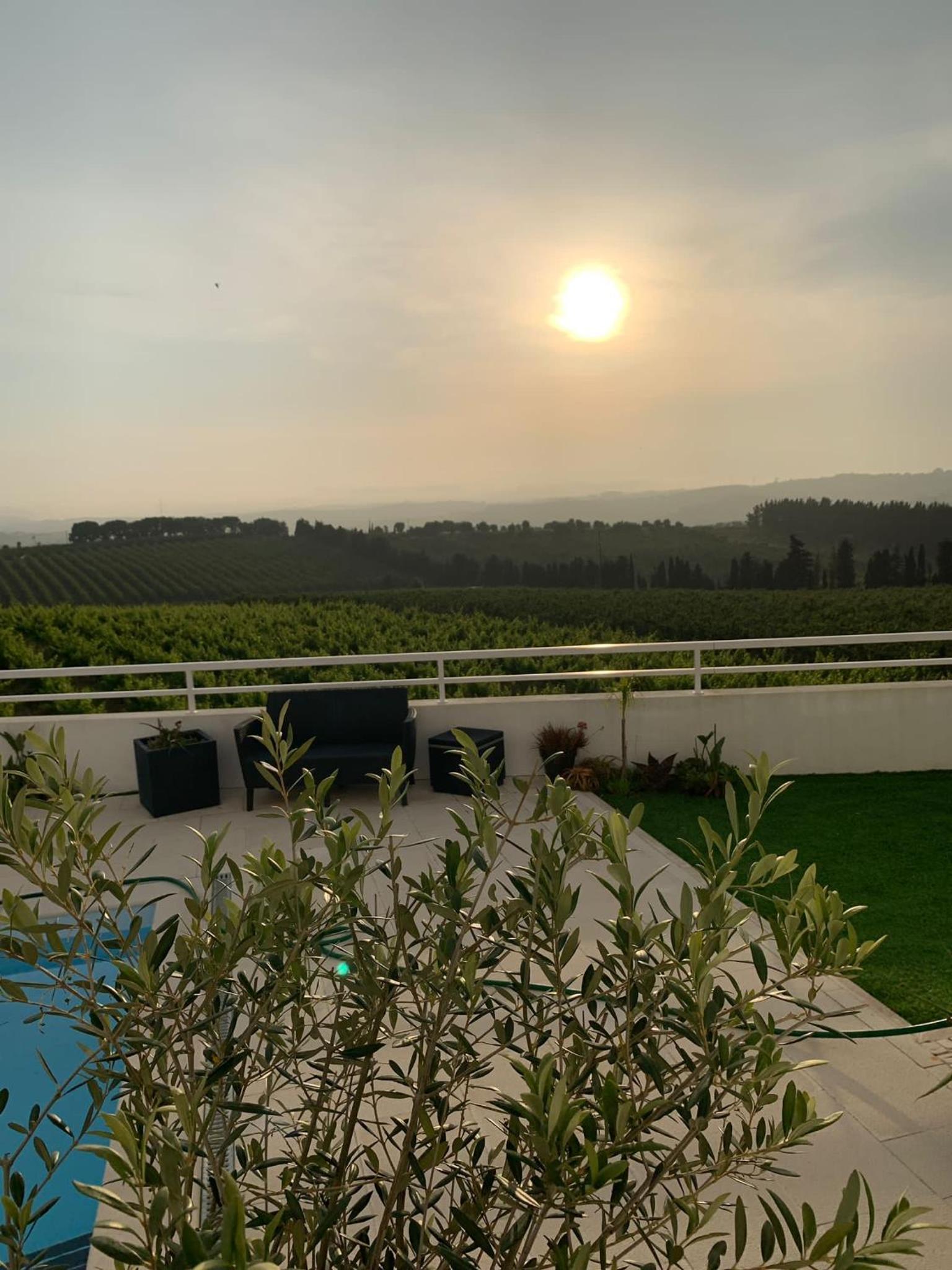 Casa da Colina - Villa in the Countryside view 4