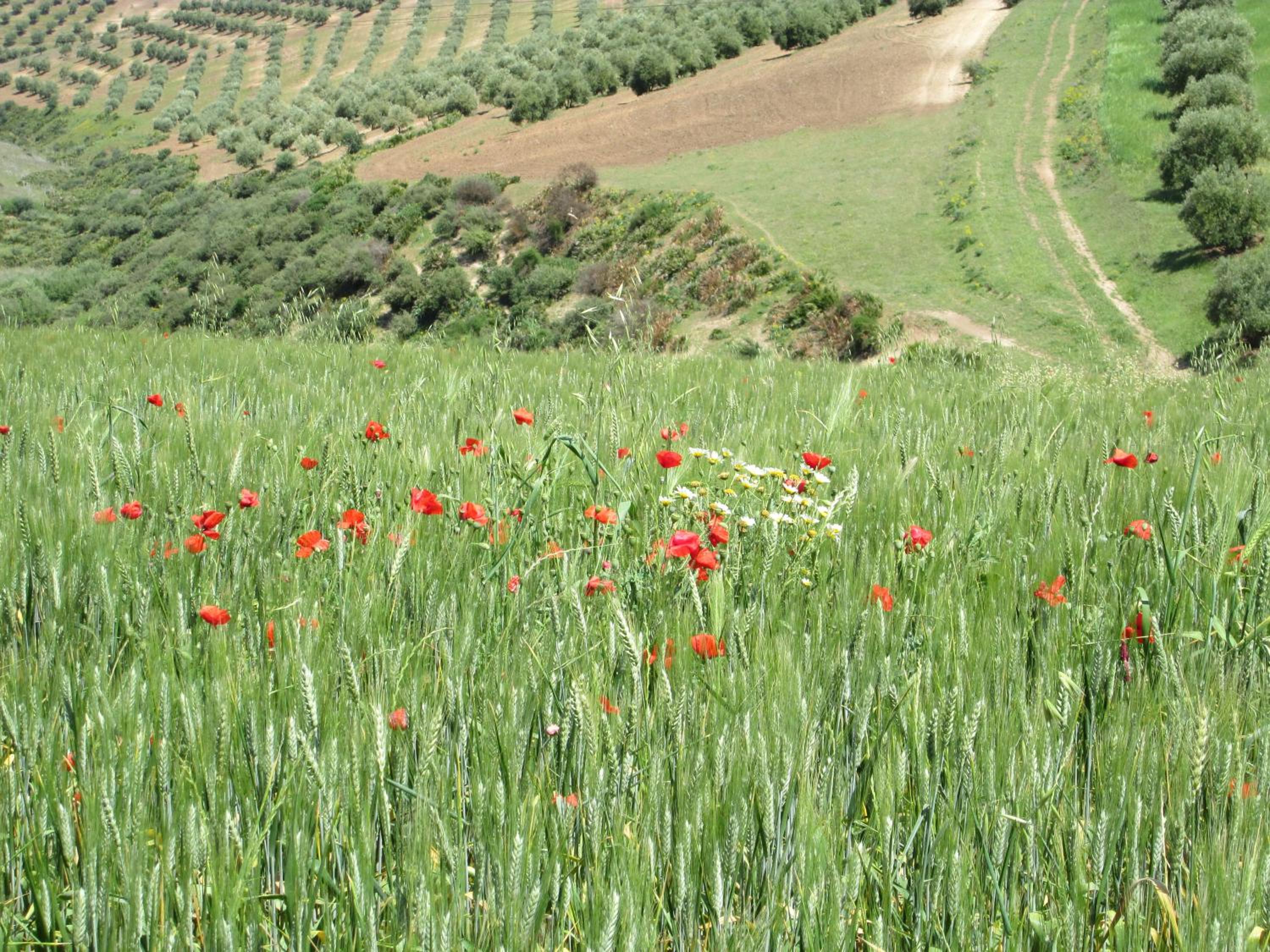 Terre De Traces Ecolodge