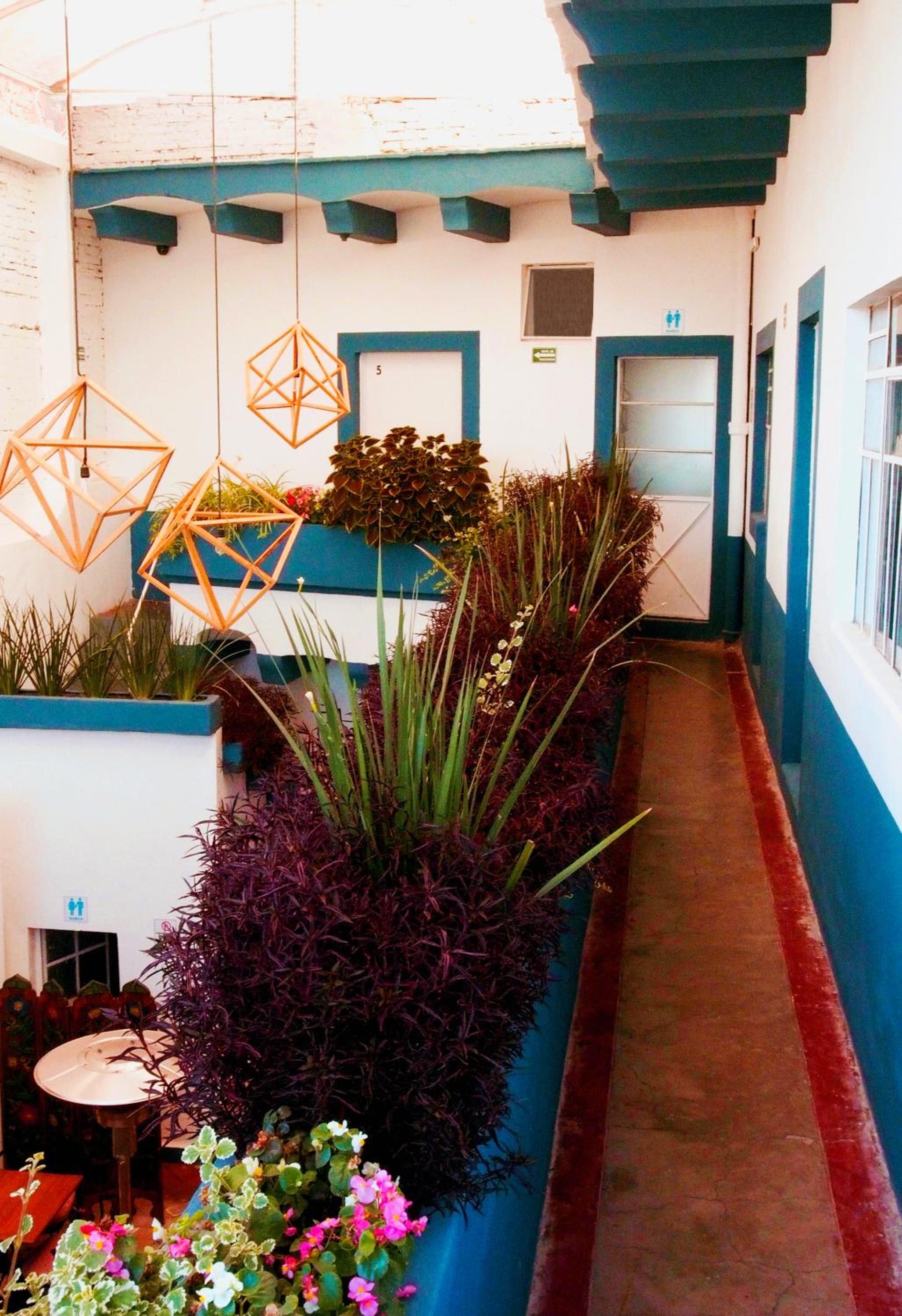 Blue Bicycle House