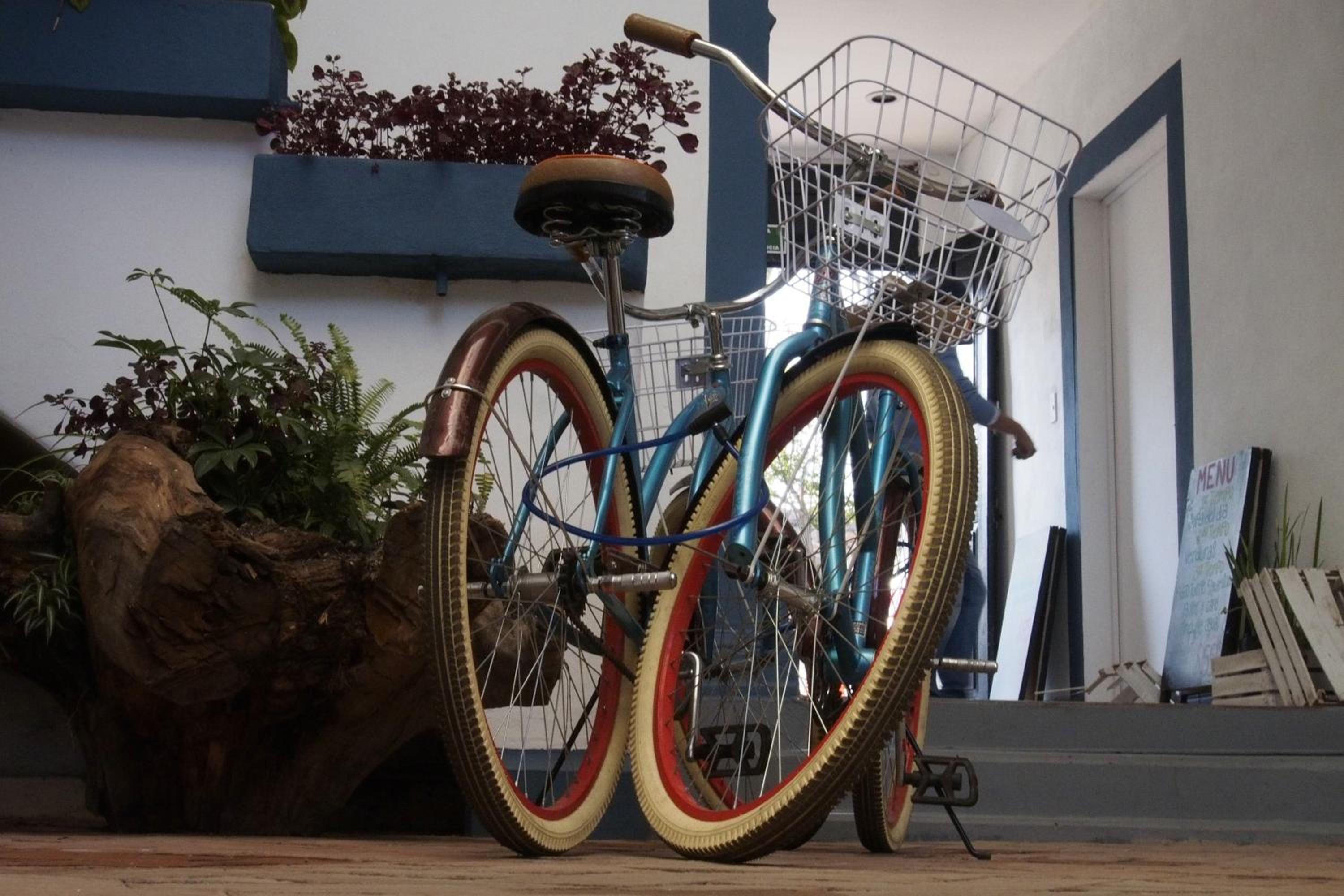 Blue Bicycle House