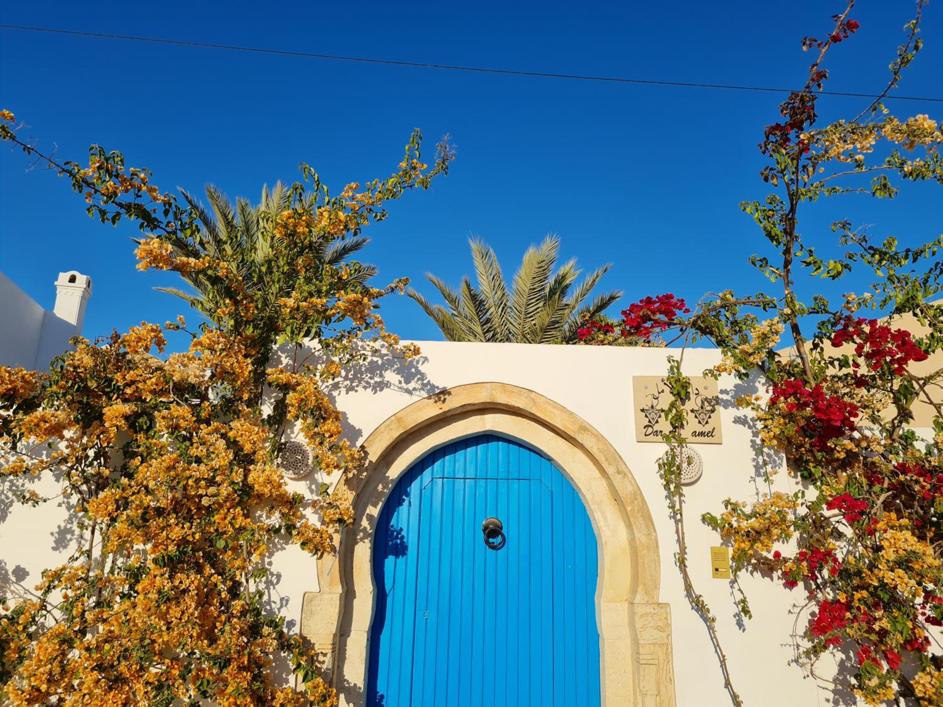 DAR AMEL, photo 19