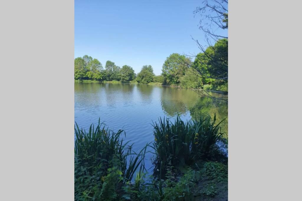 Detached House Work Holiday Relax Private Parking Nature 10miles away from Heathrow Airport