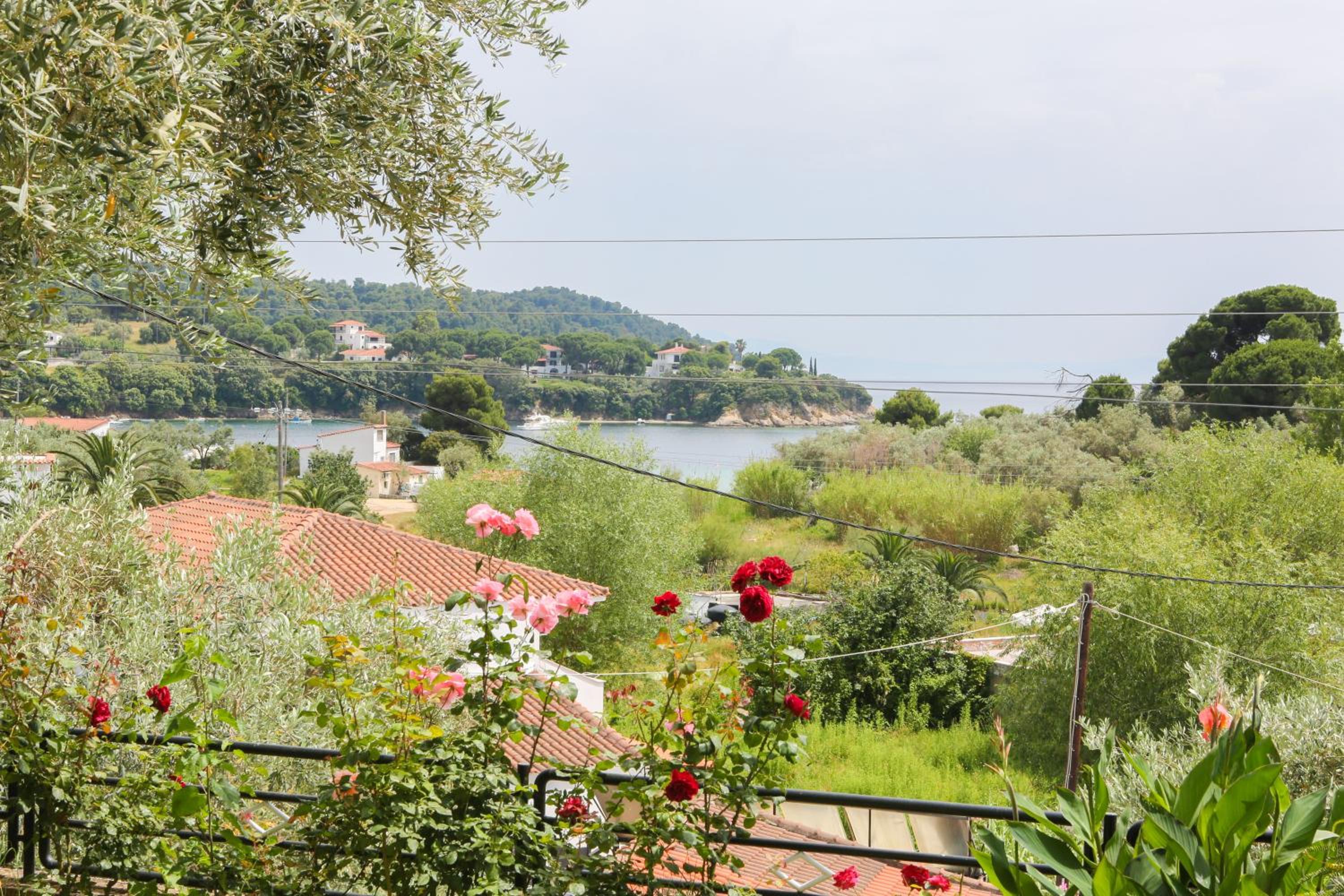 Studios Villa Eleni view 2