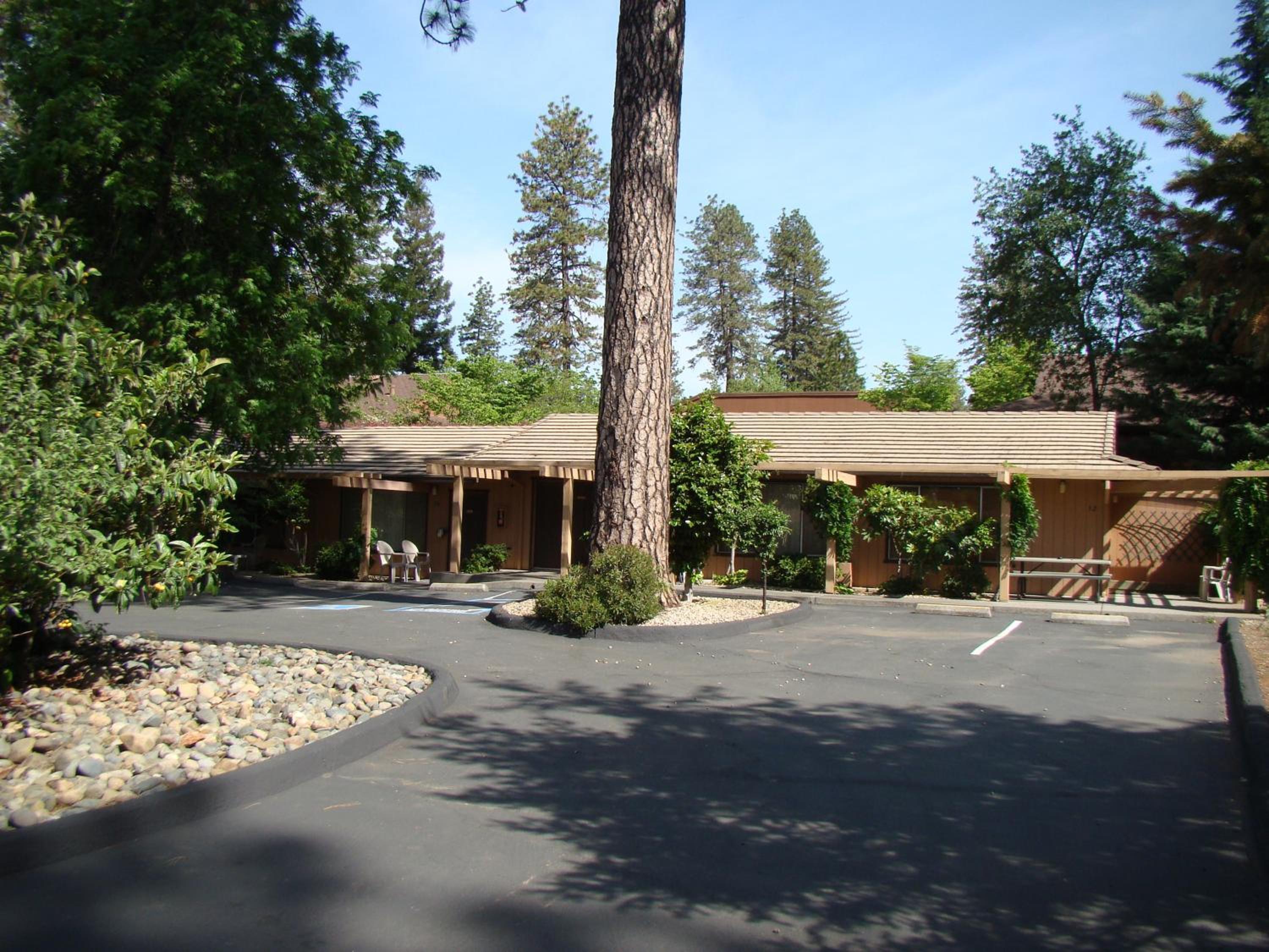 Ponderosa Gardens Motel