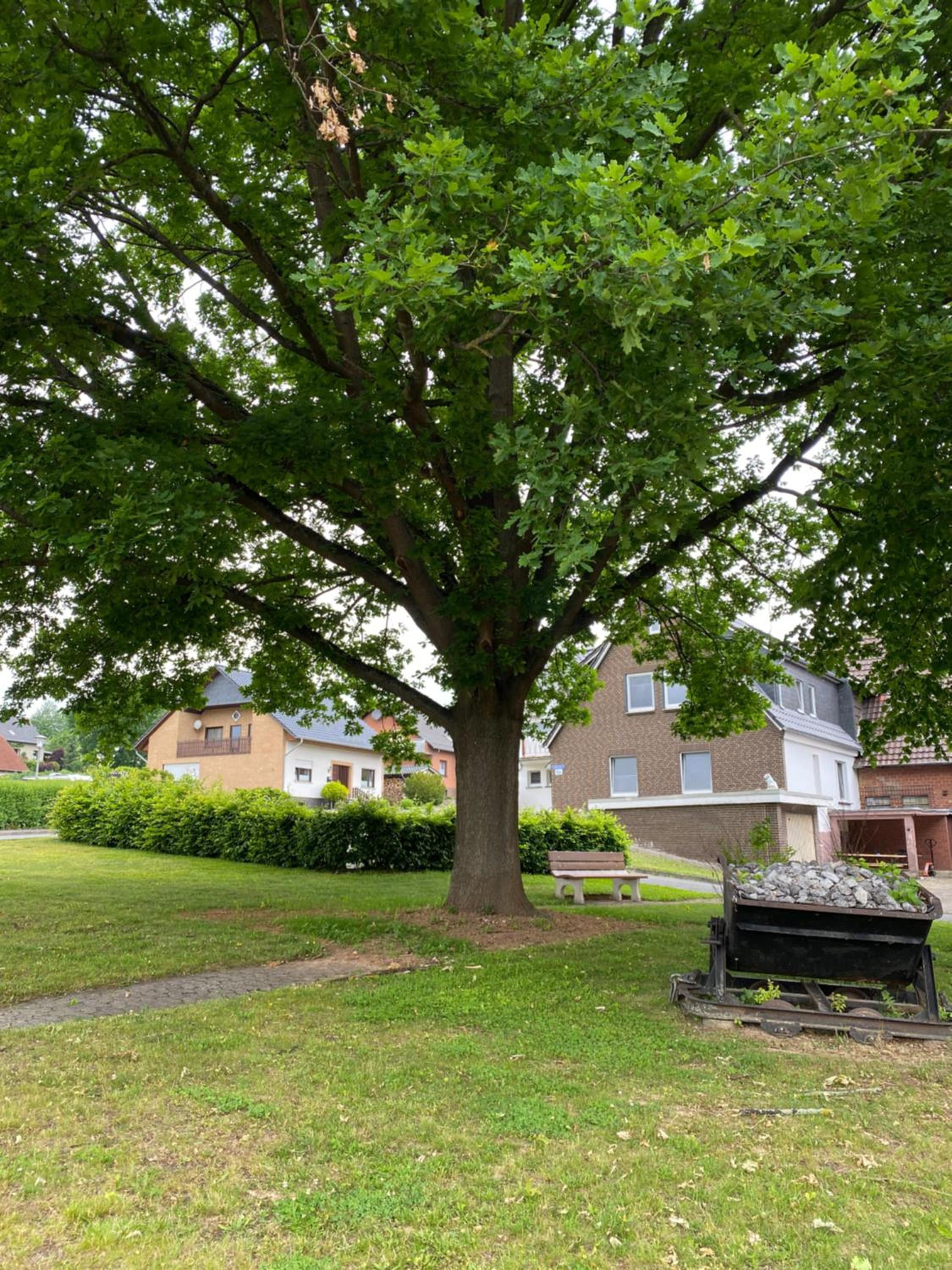 familienfreundliche Ferienwohnung Anna