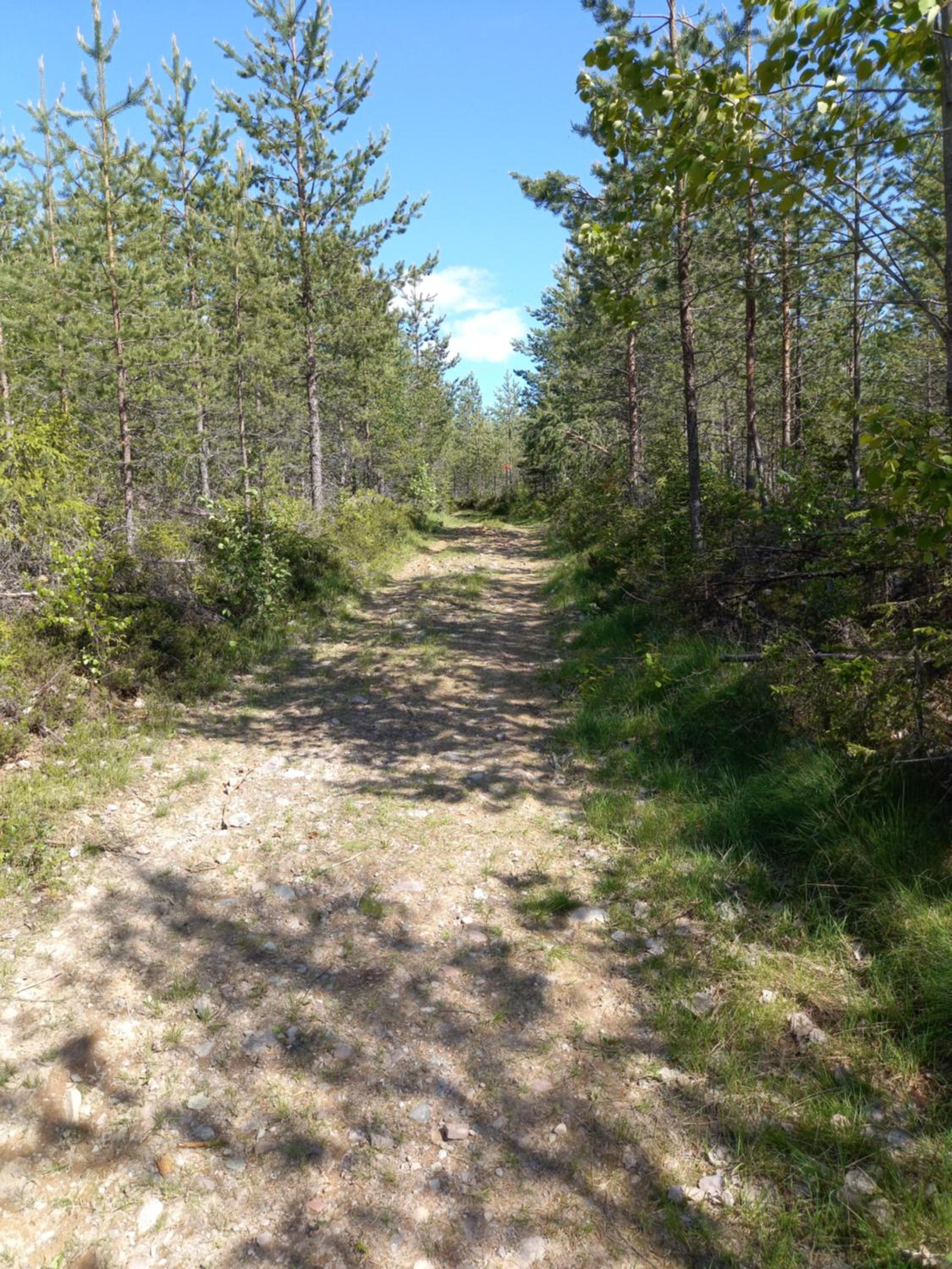 Photo 28
