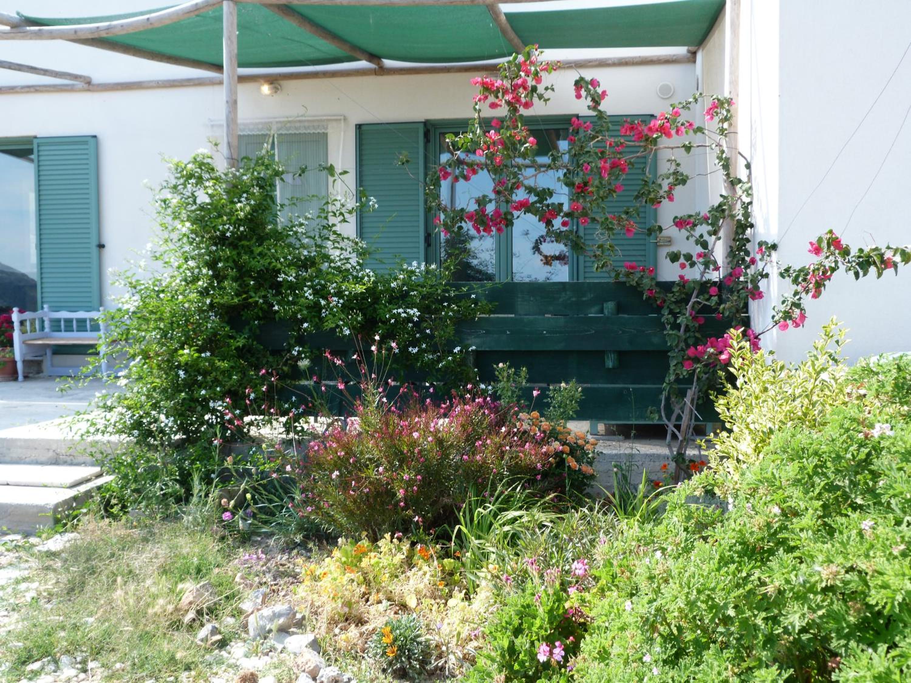 Photo 41