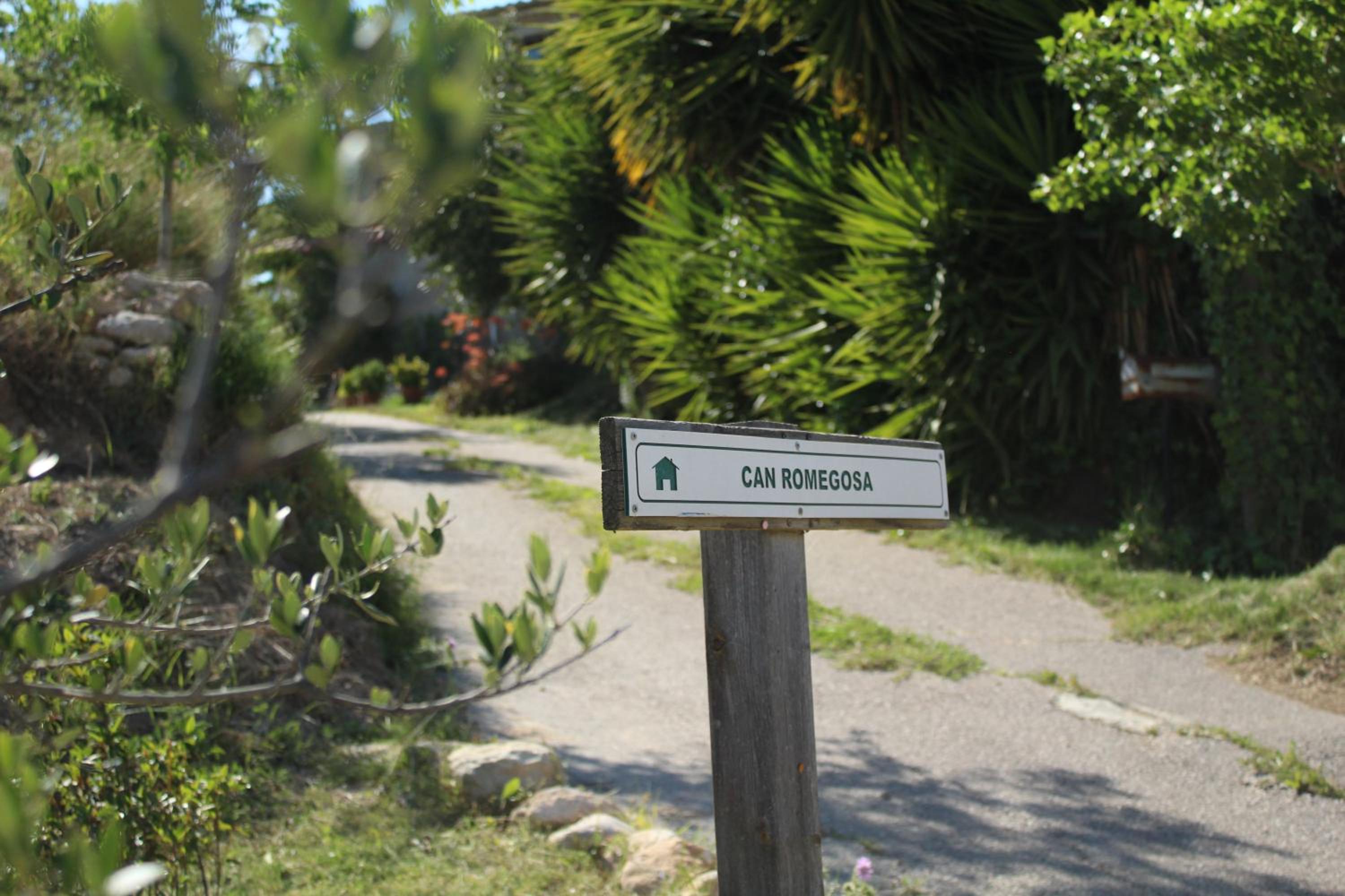 Photo 44