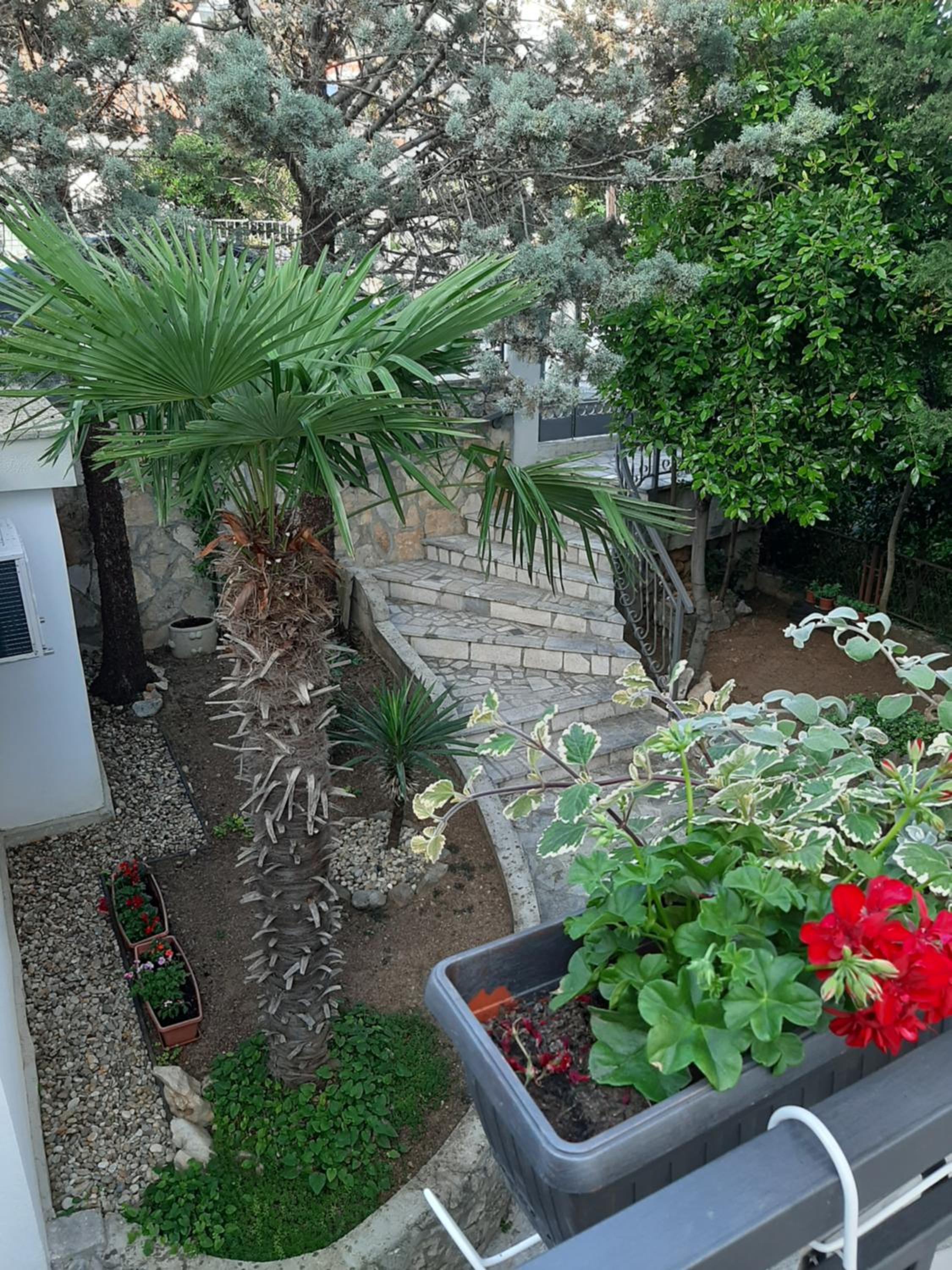 Apartment Sanja photo 1