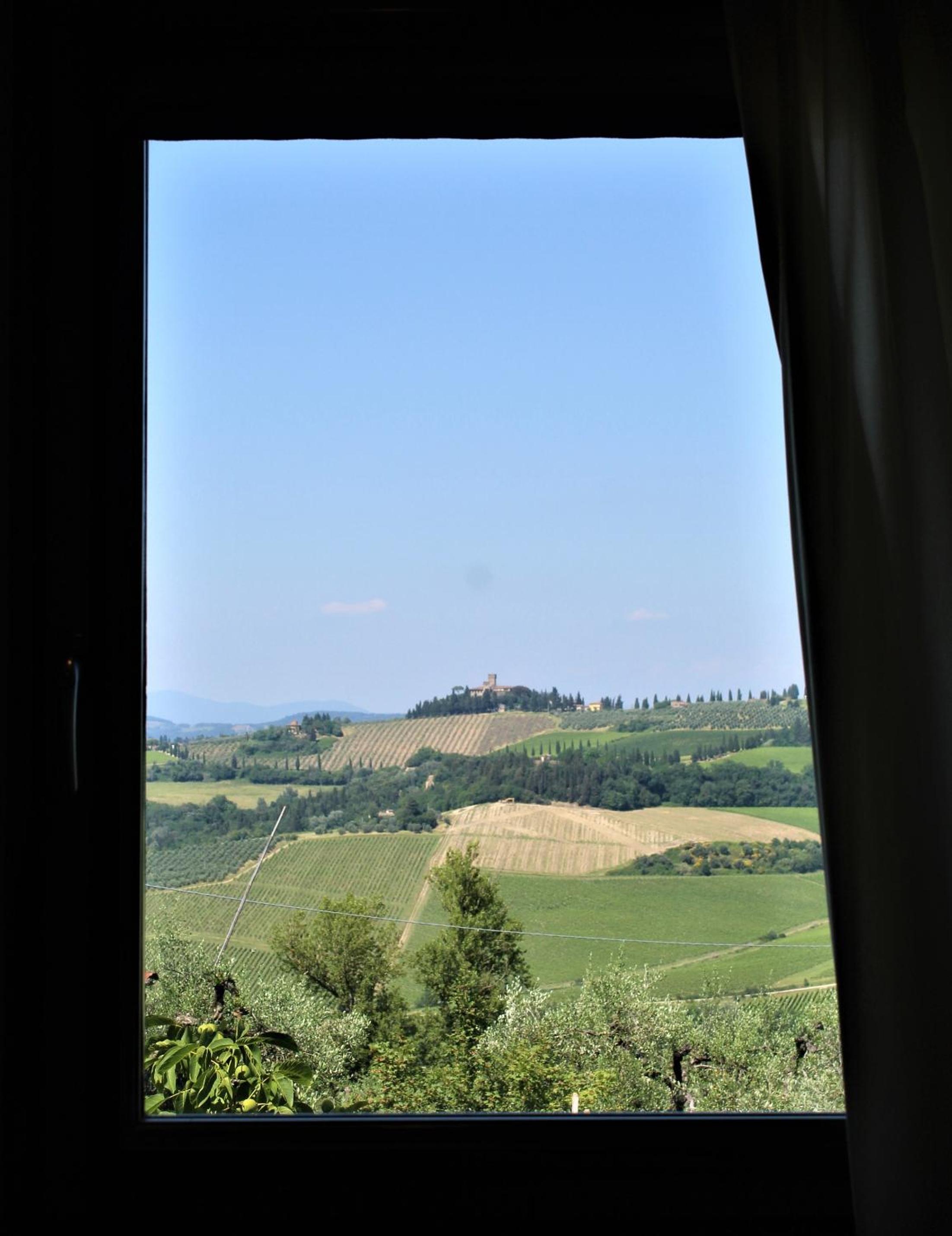 Photo 31