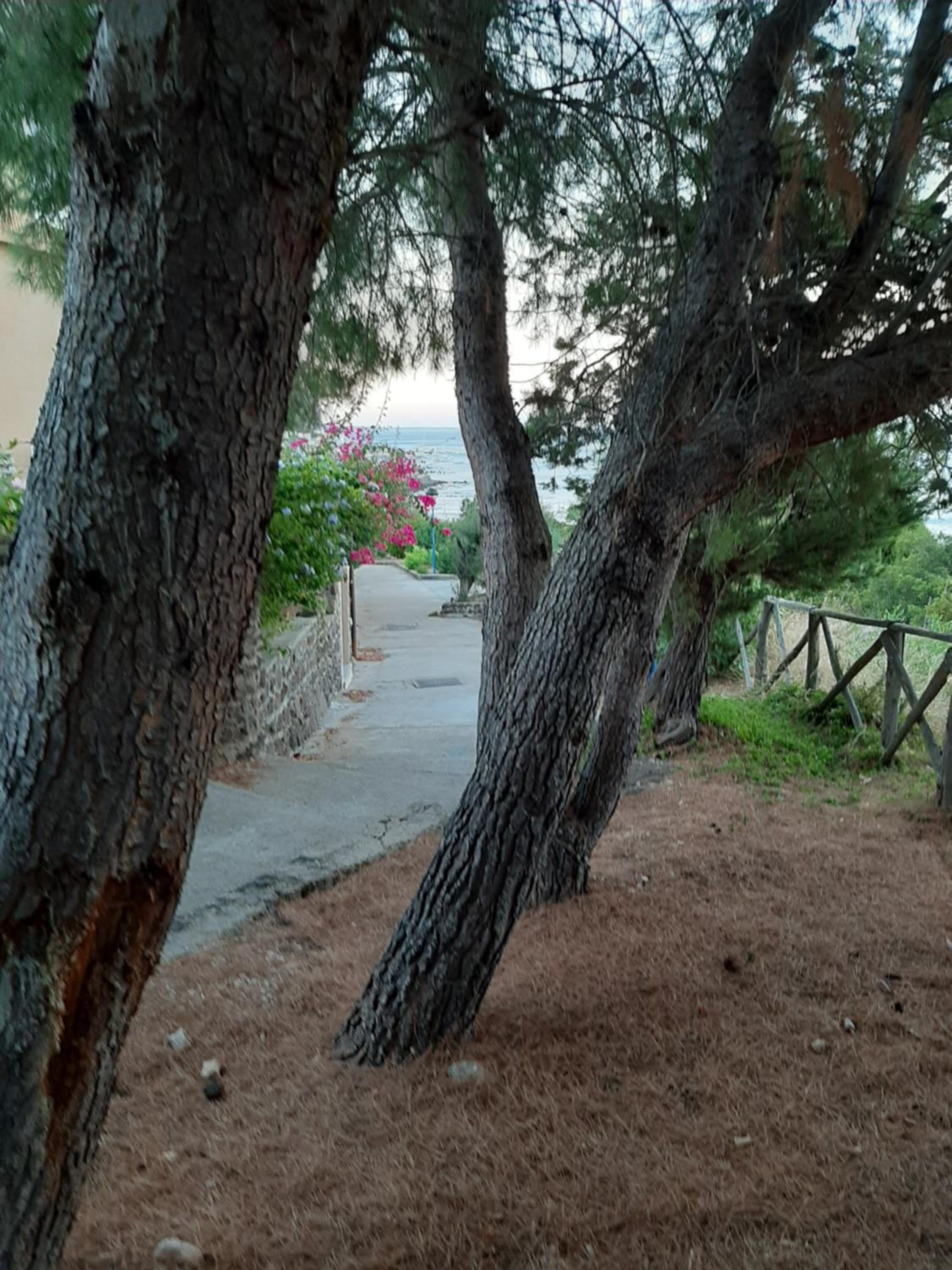 Photo 30