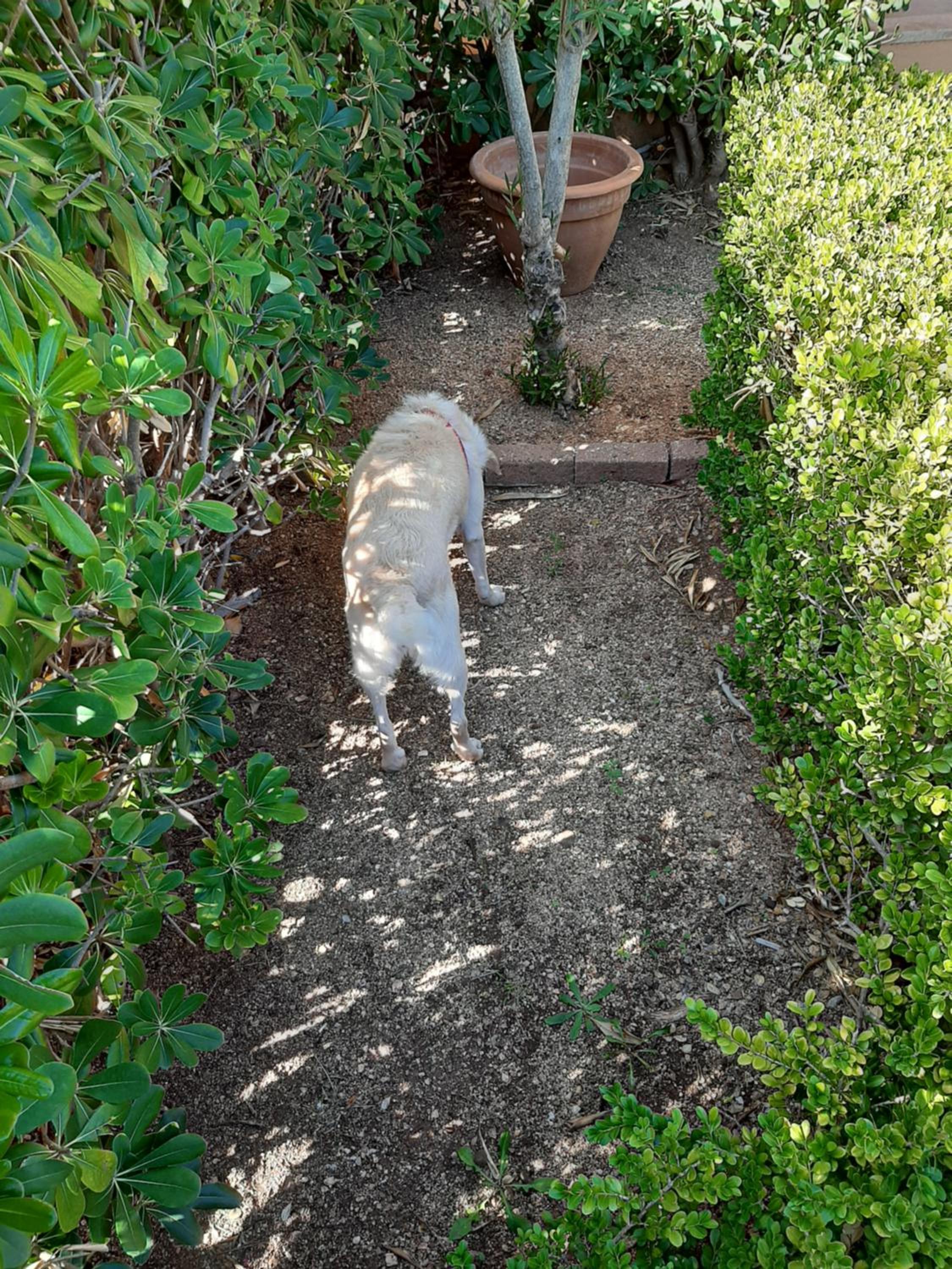 Photo 22