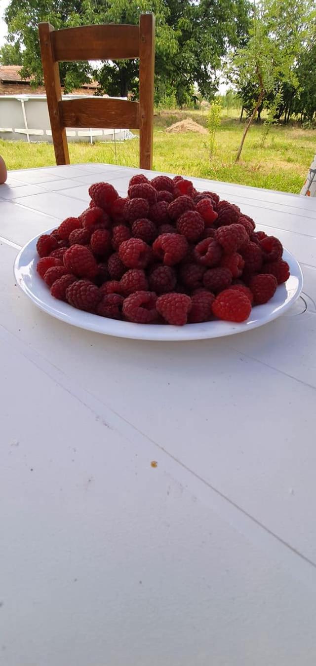 Photo 27