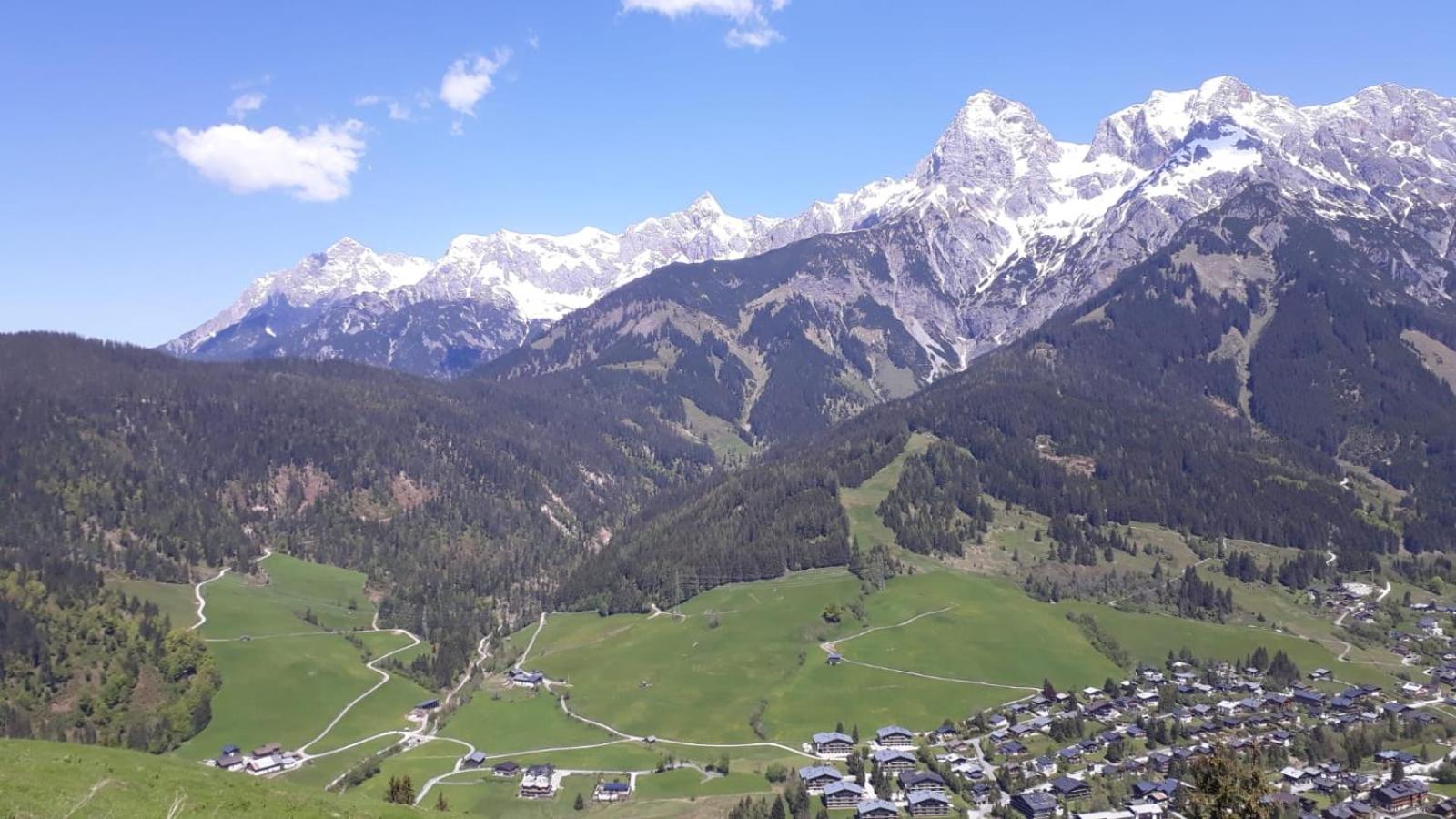 Photo 40