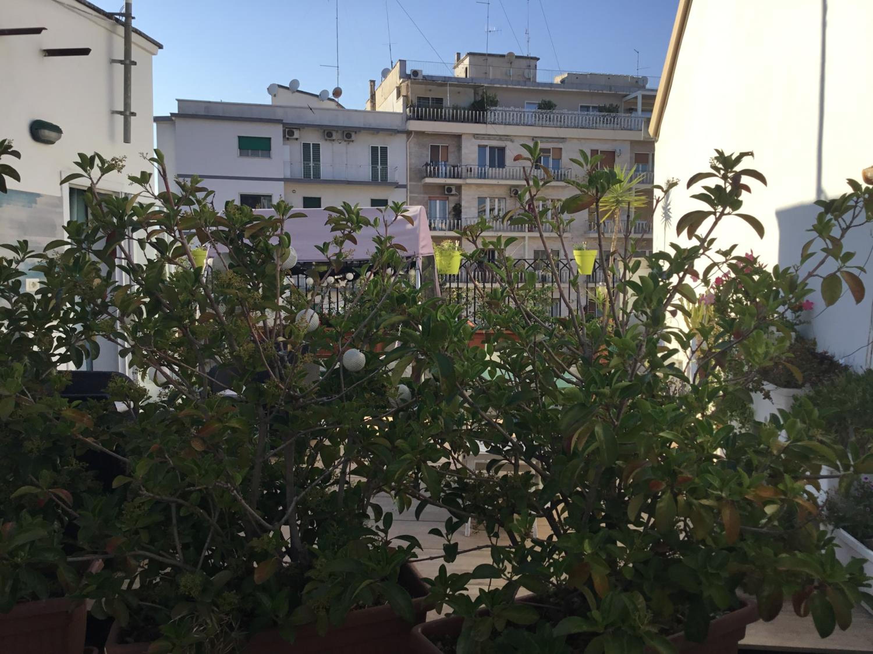 Monolocale "Villari" view 5