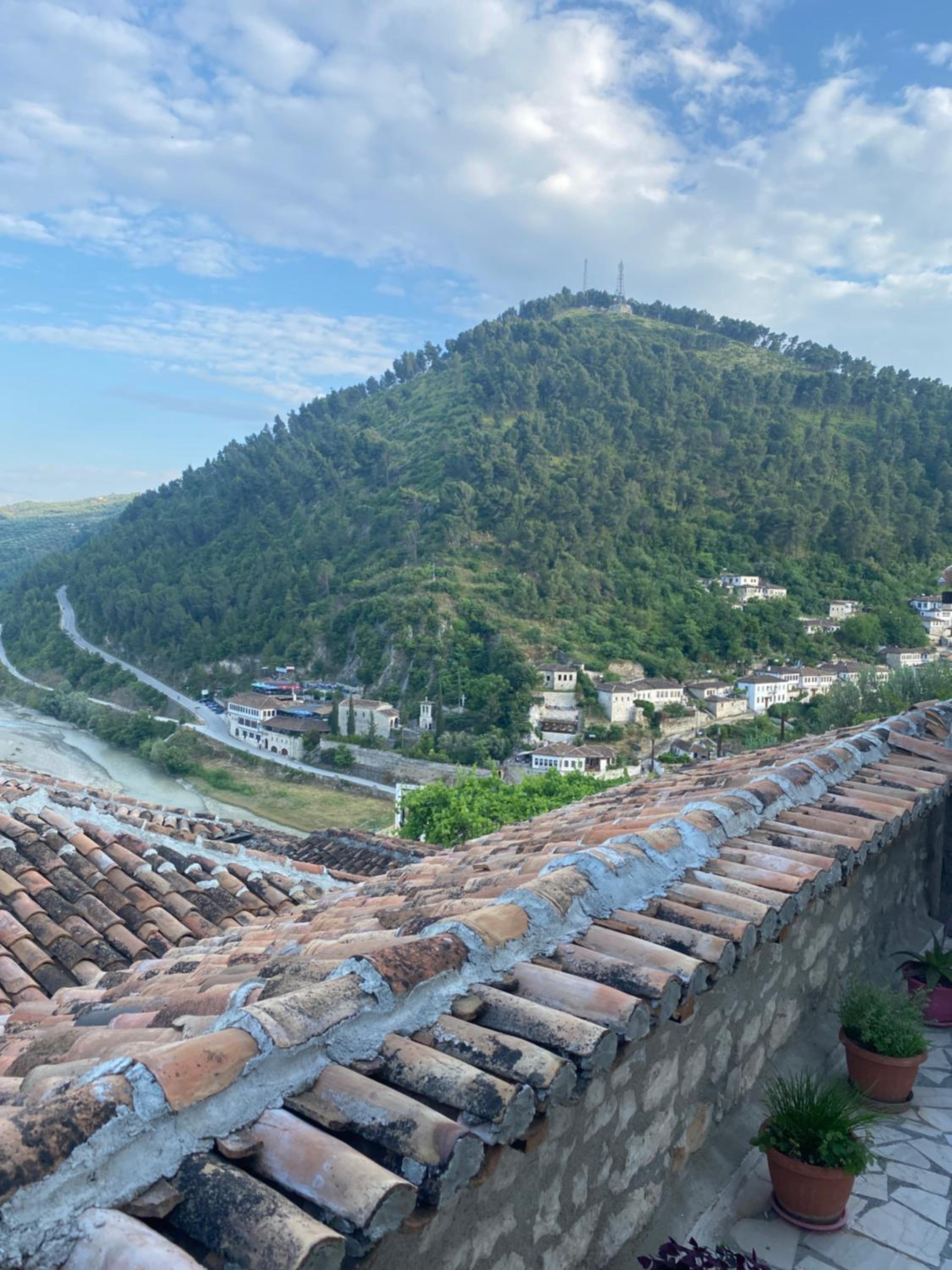roof
