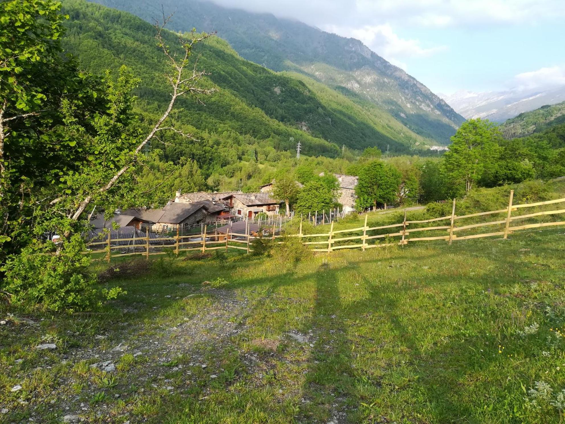 AlfaBaita