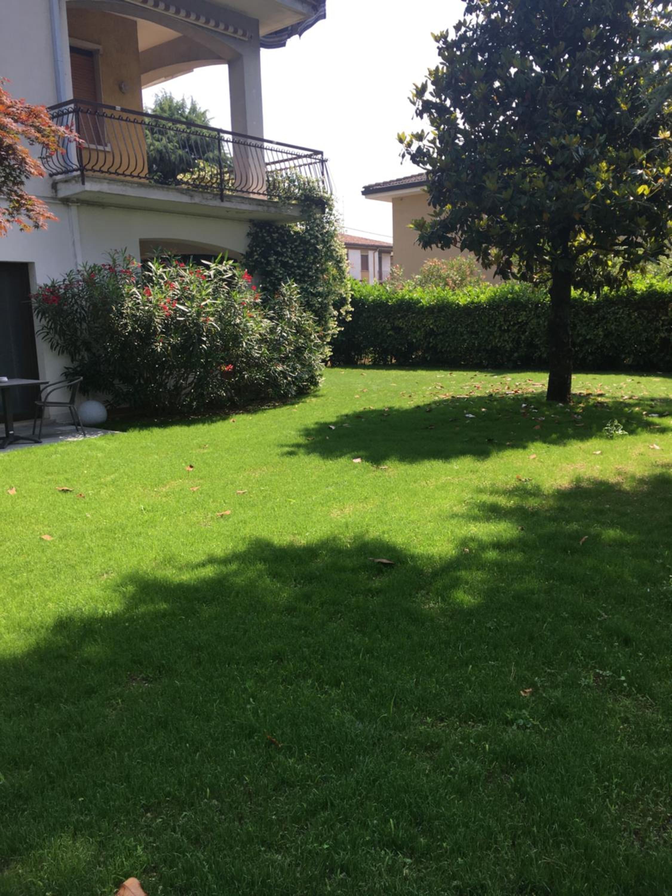 Photo 49
