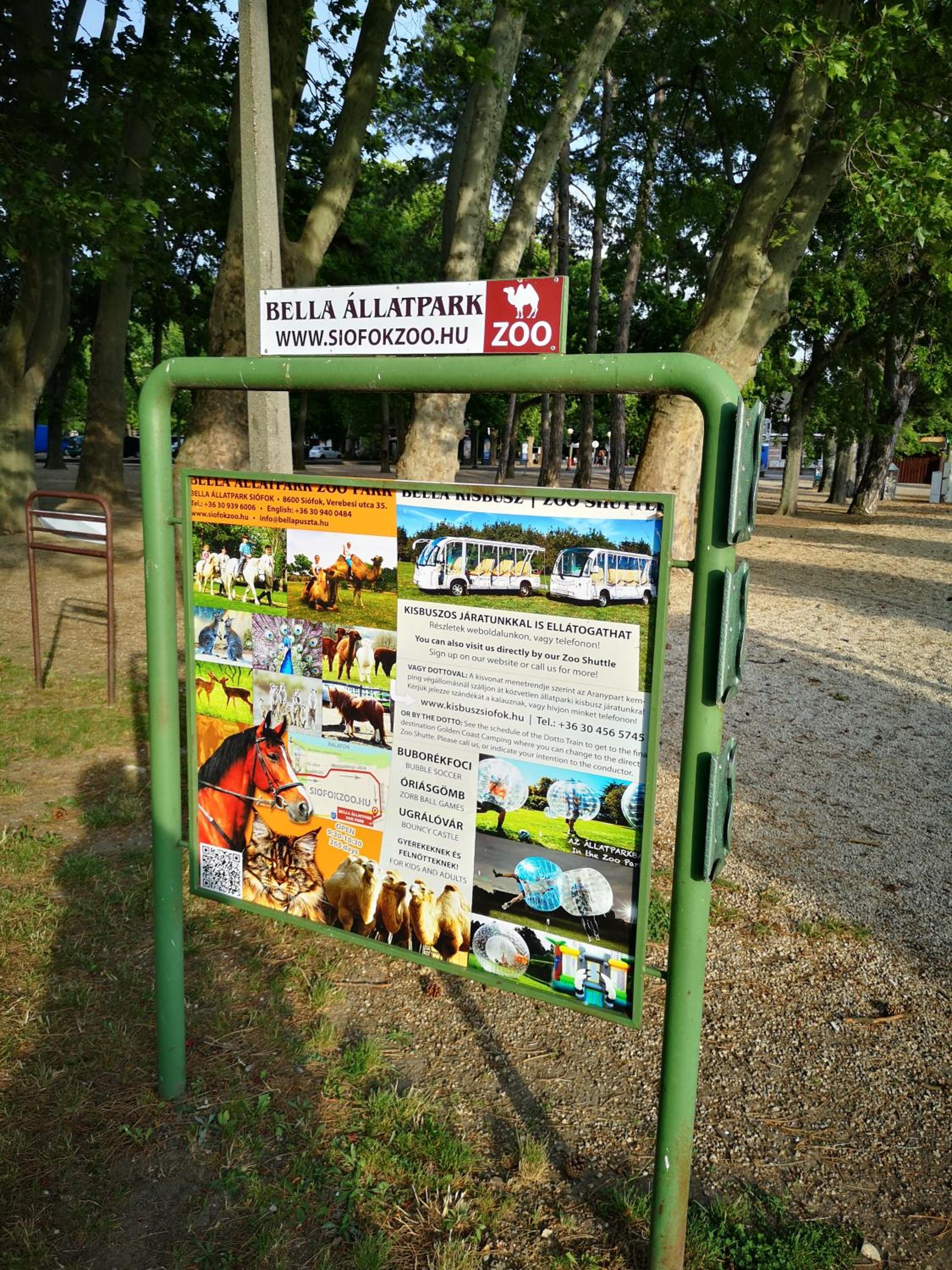 Photo 42