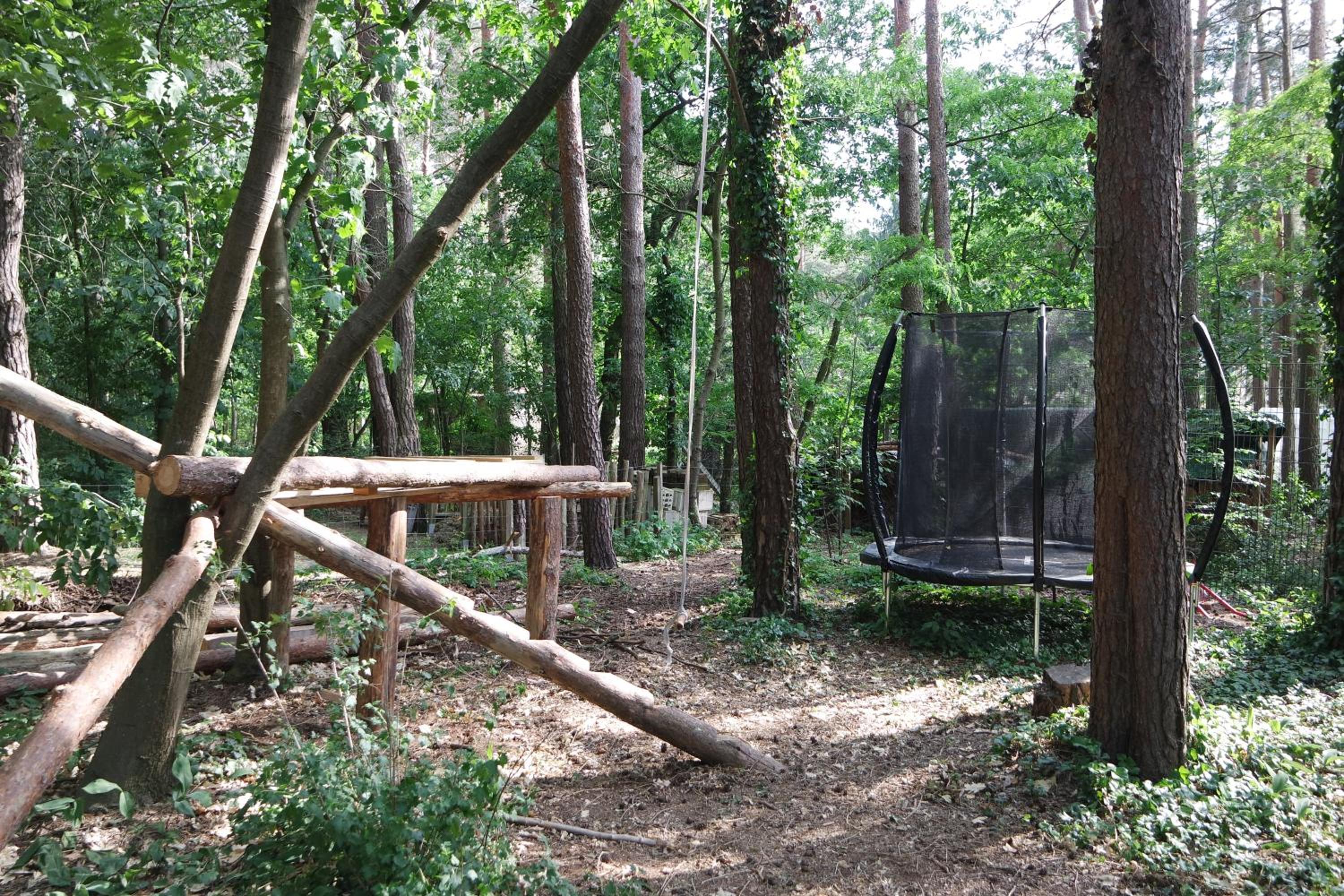 Wald und Wohlsein
