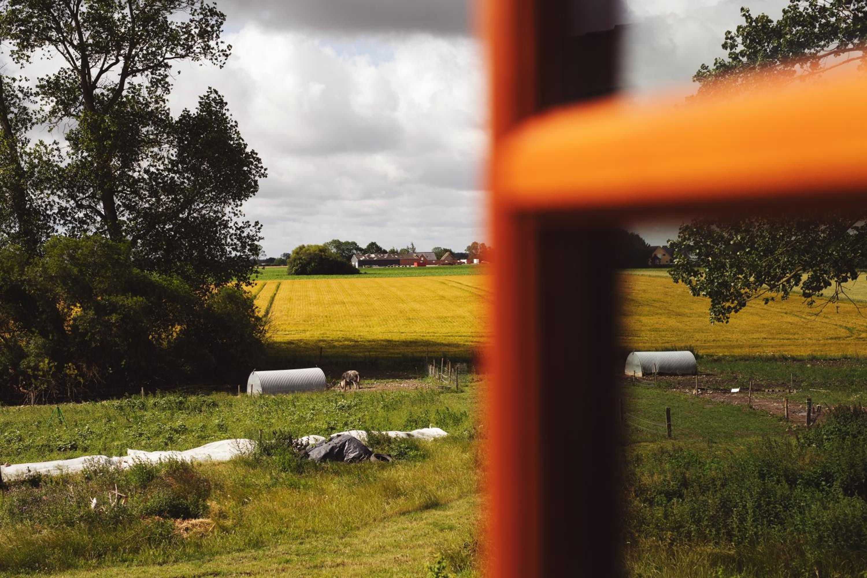 Dambækgaard Sustainable Farm view 4