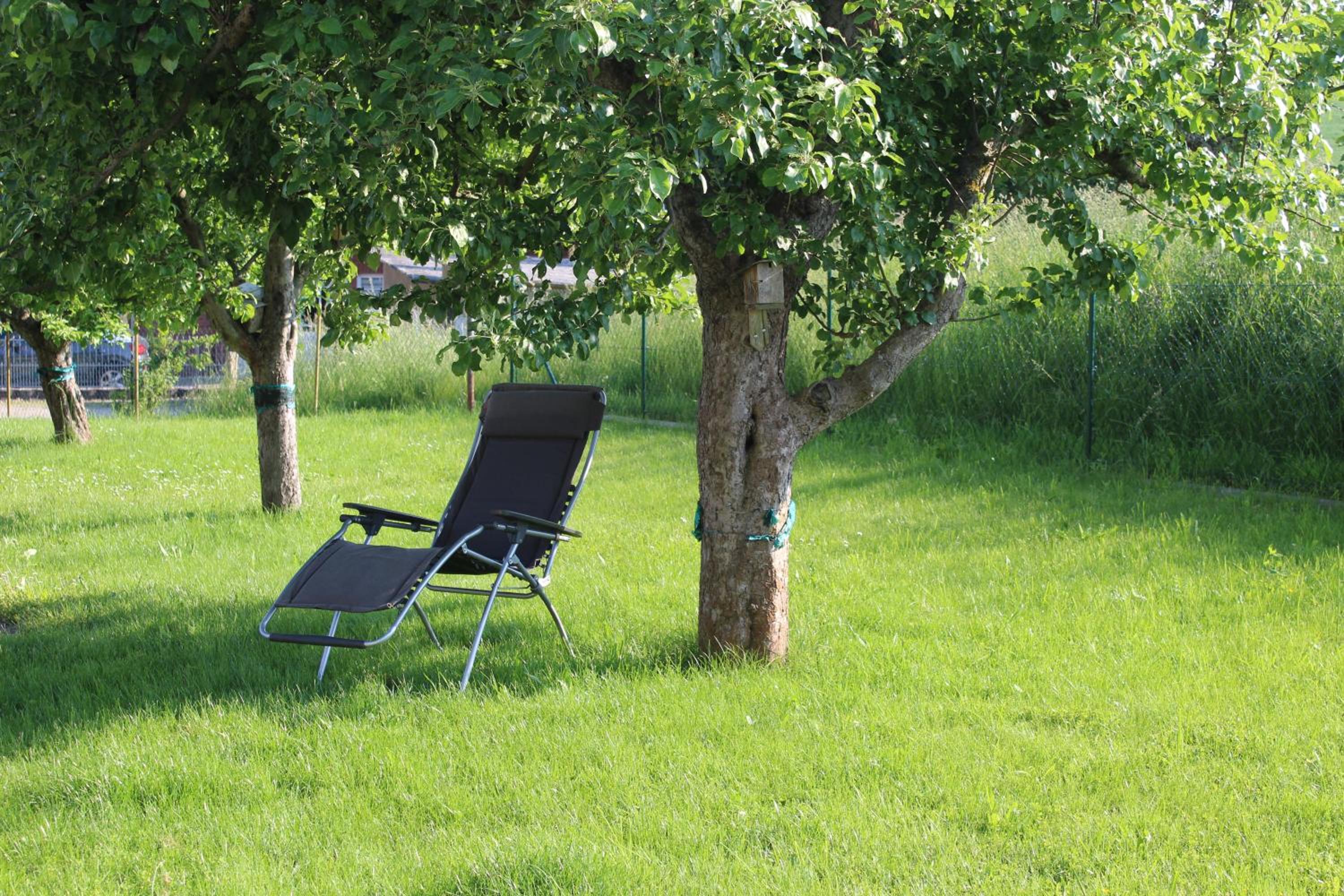 Ferienwohnung am Kugelbaum