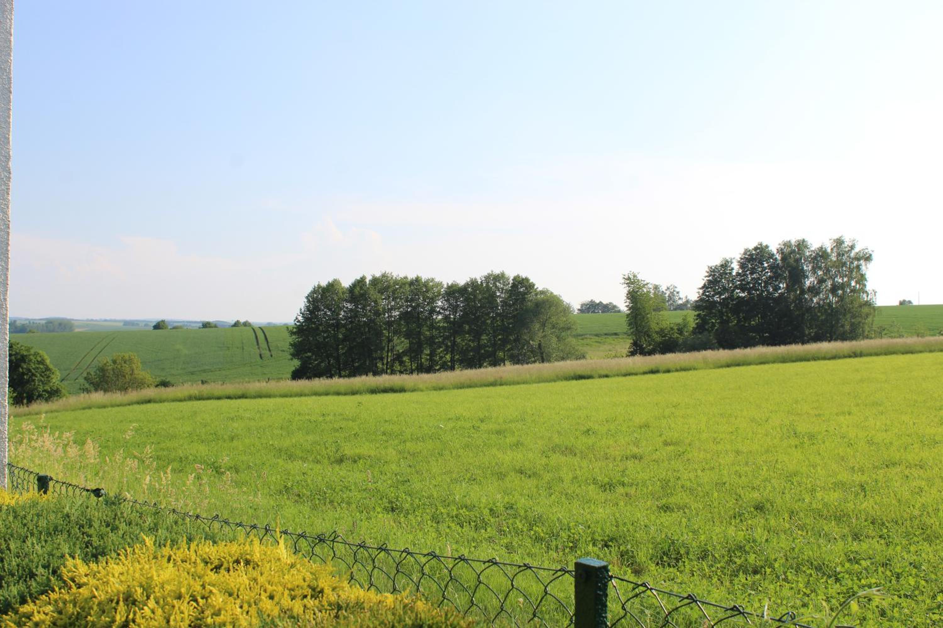 Ferienwohnung am Kugelbaum