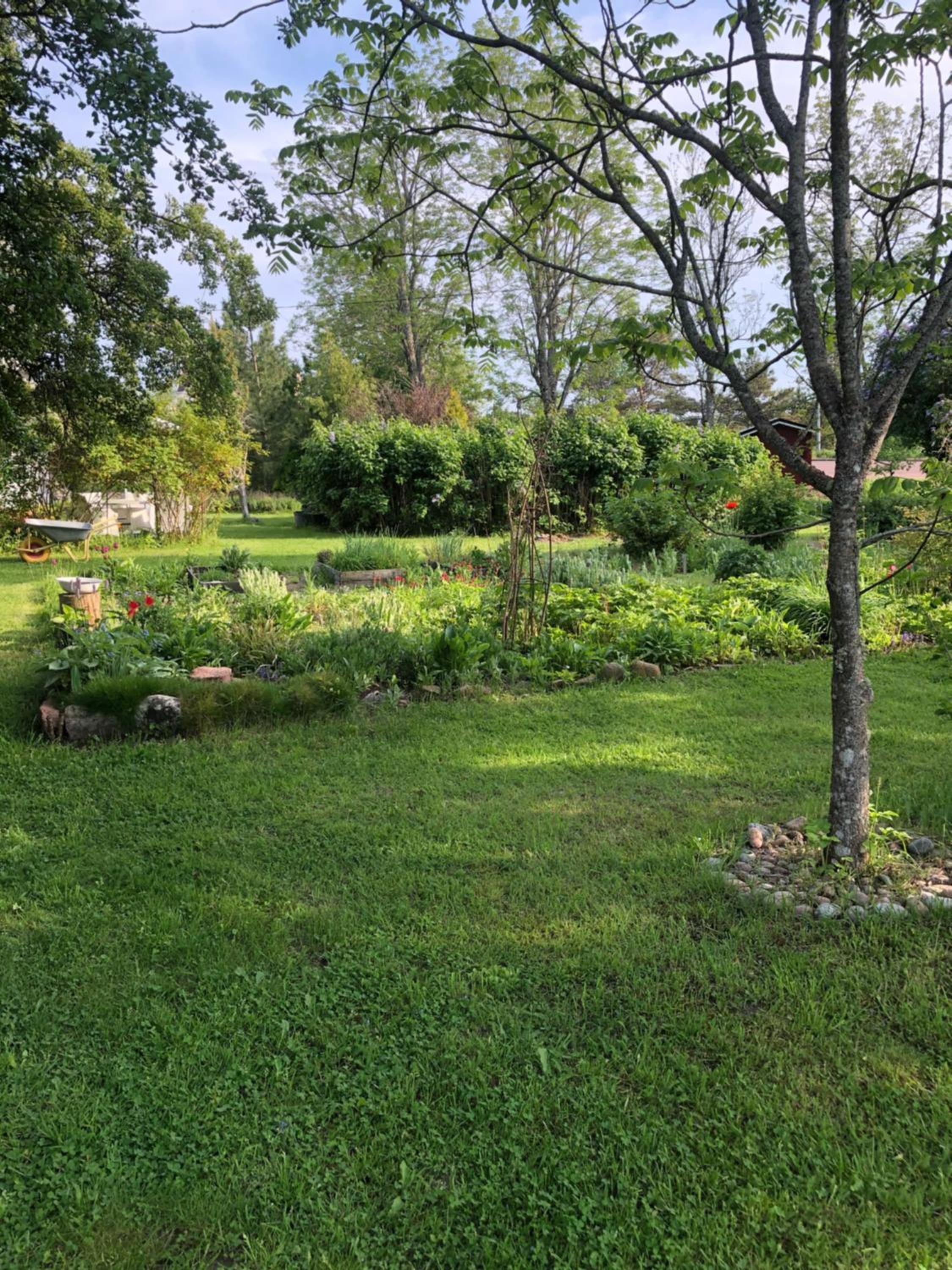 Photo 35